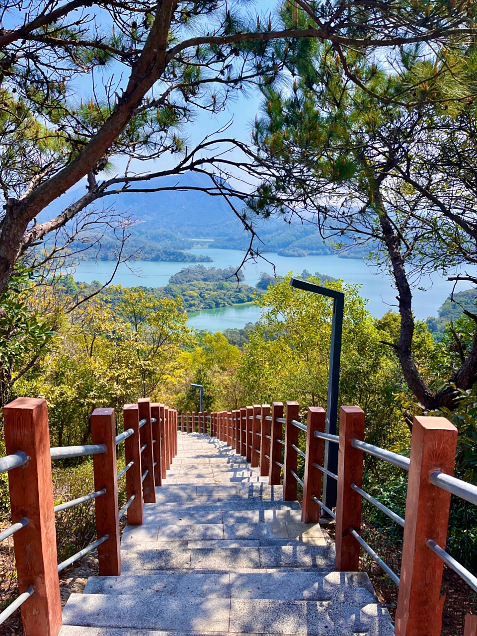 深圳徒步|布心山郊野径醉氧路线美惨了~	 "给深圳所有的郊野径比个赞!