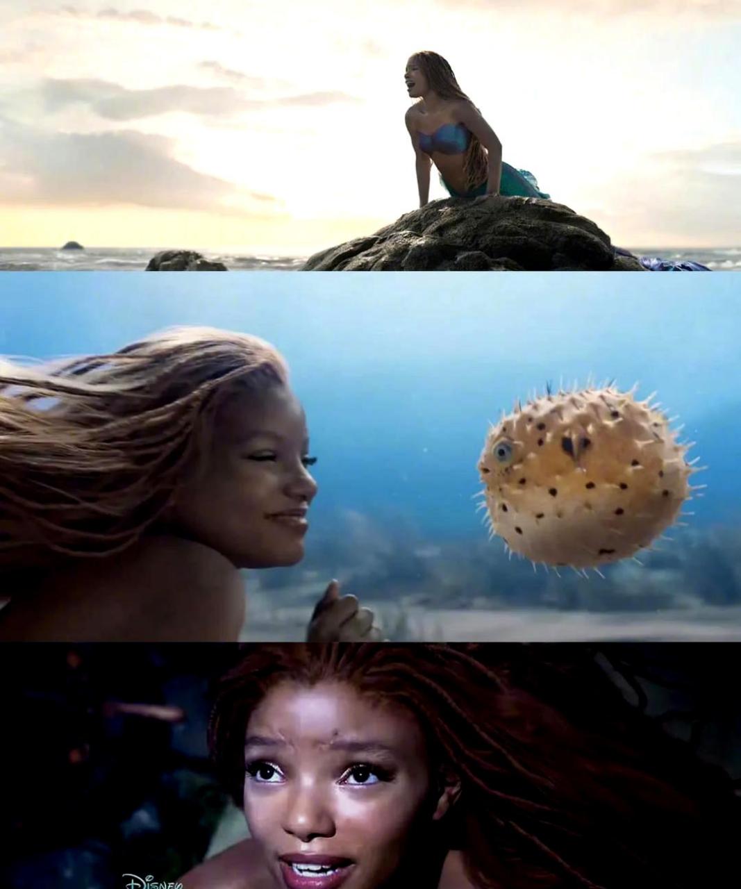 你会去电影院观看黑人版小美人鱼吗?