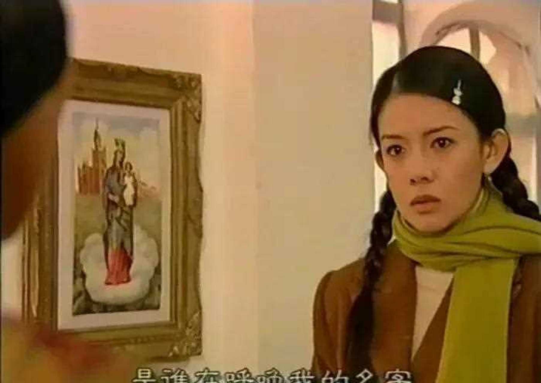 《情迷海上花》是年前的一部剧,由何家劲,林美贞,田海蓉领衔主演.