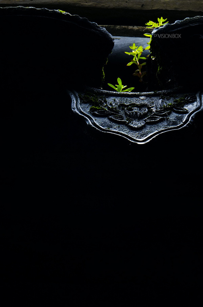 你知道墙壁,眼睛,膝盖的英文怎么说么wall,eye,knee我也是,我爱你.