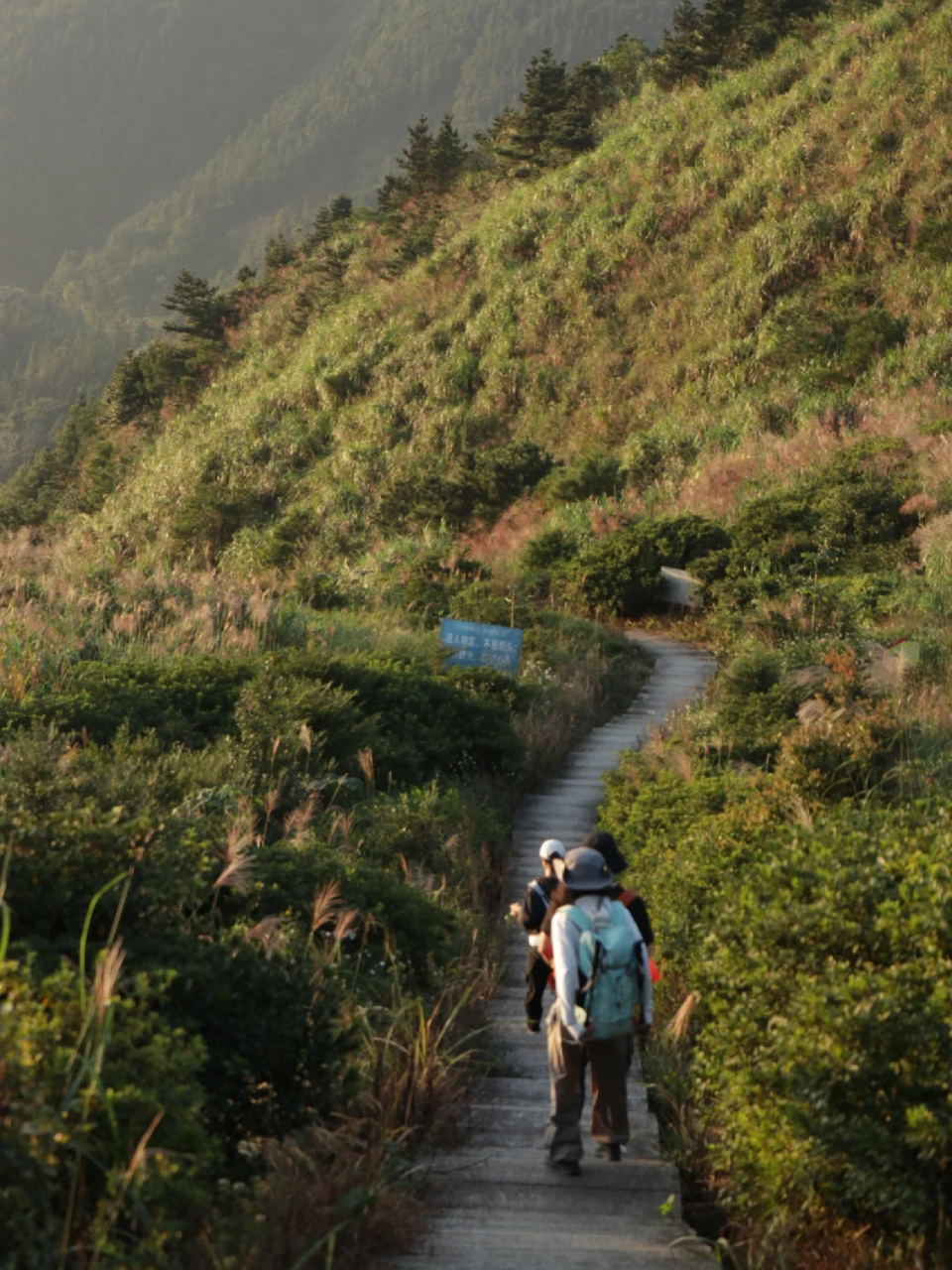 福建闽南第一高峰大芹山  98大芹山是闽南第1高峰,海拔1544.8m.