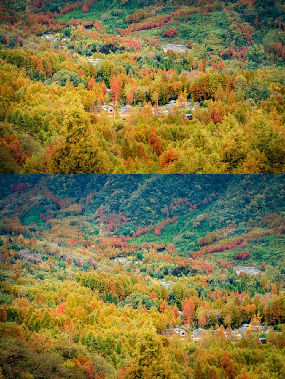 崇州琉璃坝,红叶彩林  琉璃坝,位于崇州市鸡冠山脚下,距离成都市区仅