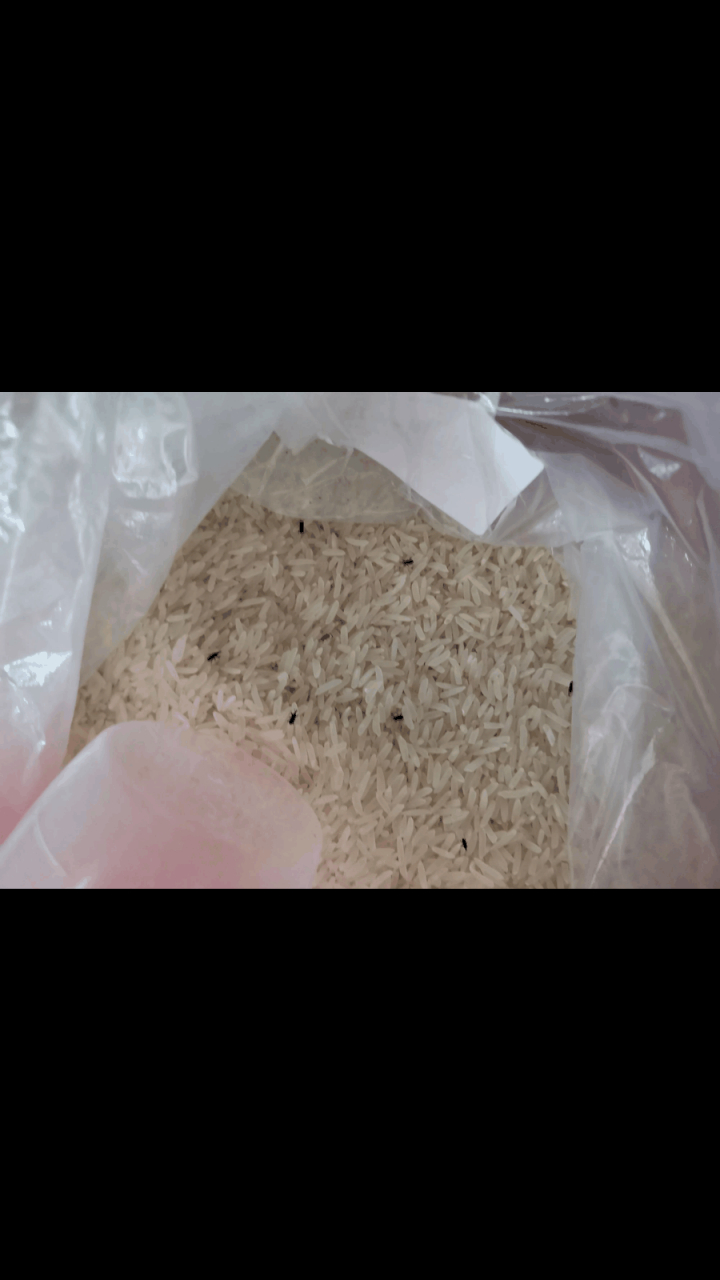 是存放方式不对还是怎样?怎样可以没有虫子?这样还可以吃吗?