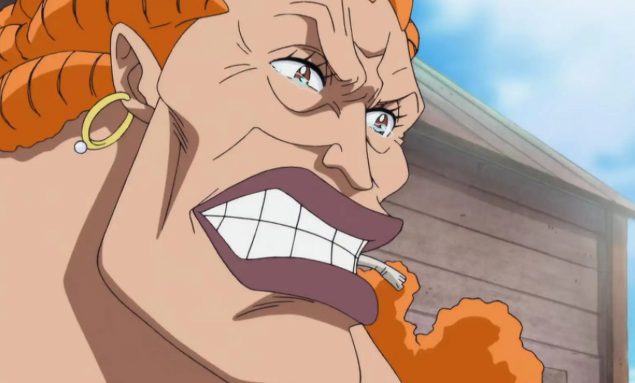 海贼王# #二次元mcn官方# 今天是海贼世界中达旦的生日,她是艾斯