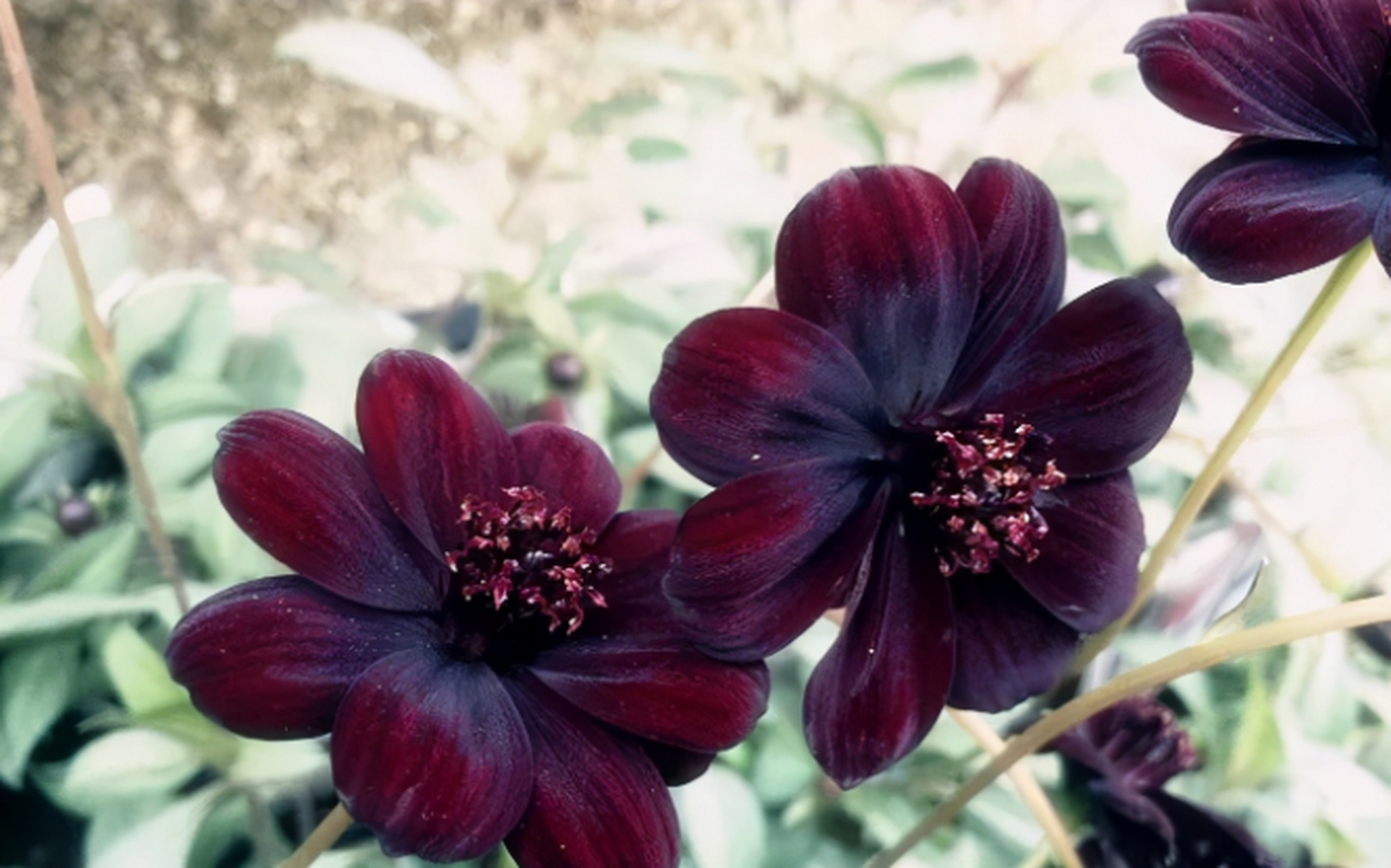 百家号星火计划