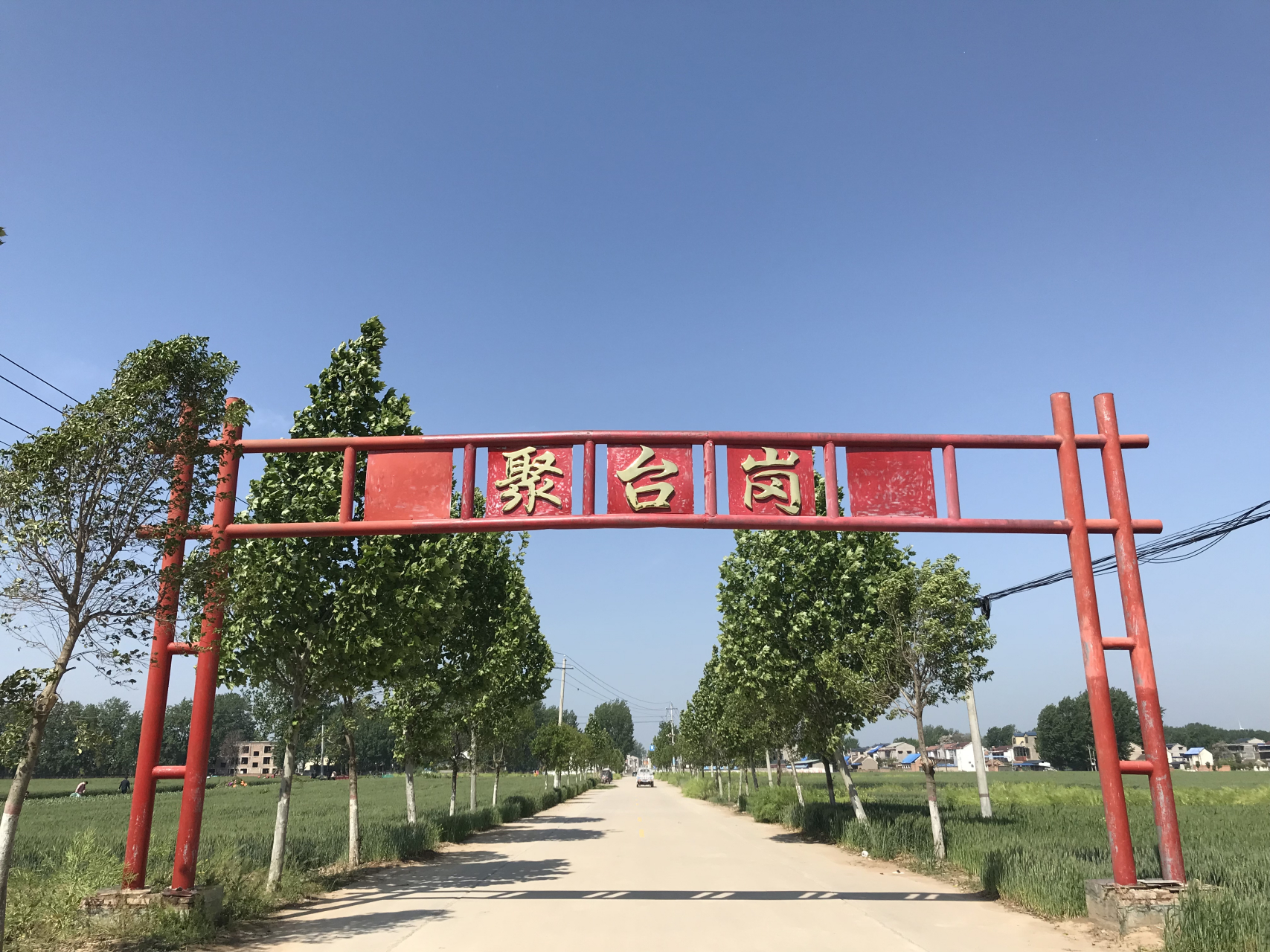 家印的老家在太康县高贤乡聚台岗村.高中毕业后,他在家务农.