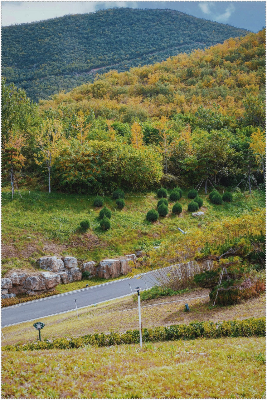 井陉龙王山公园,被誉为"庄里的小瑞士",这里的秋景美的非常别致.