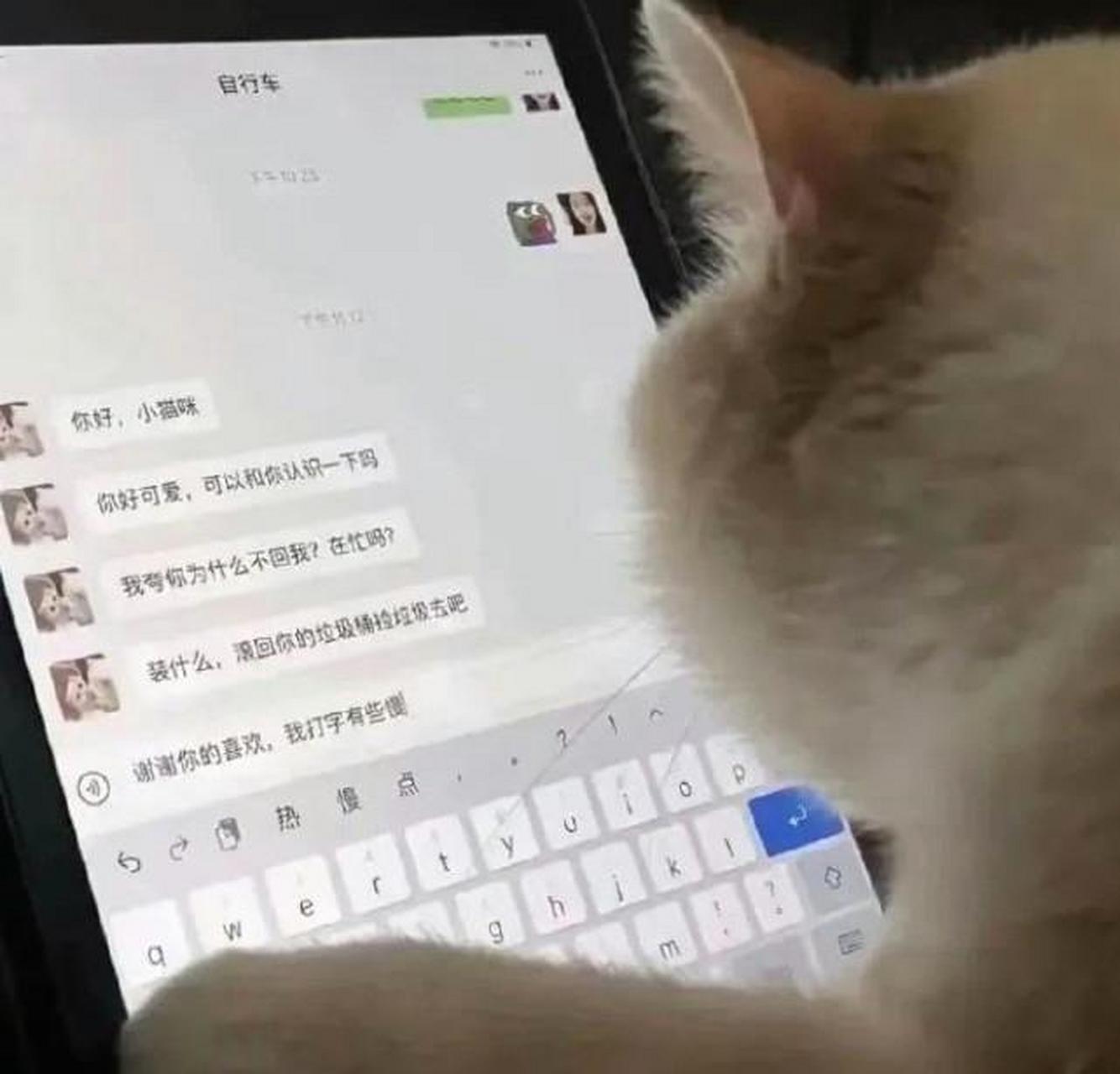 小猫咪:谢谢你的喜欢,只可惜我的打字有点慢,请你别在意这些细节哦