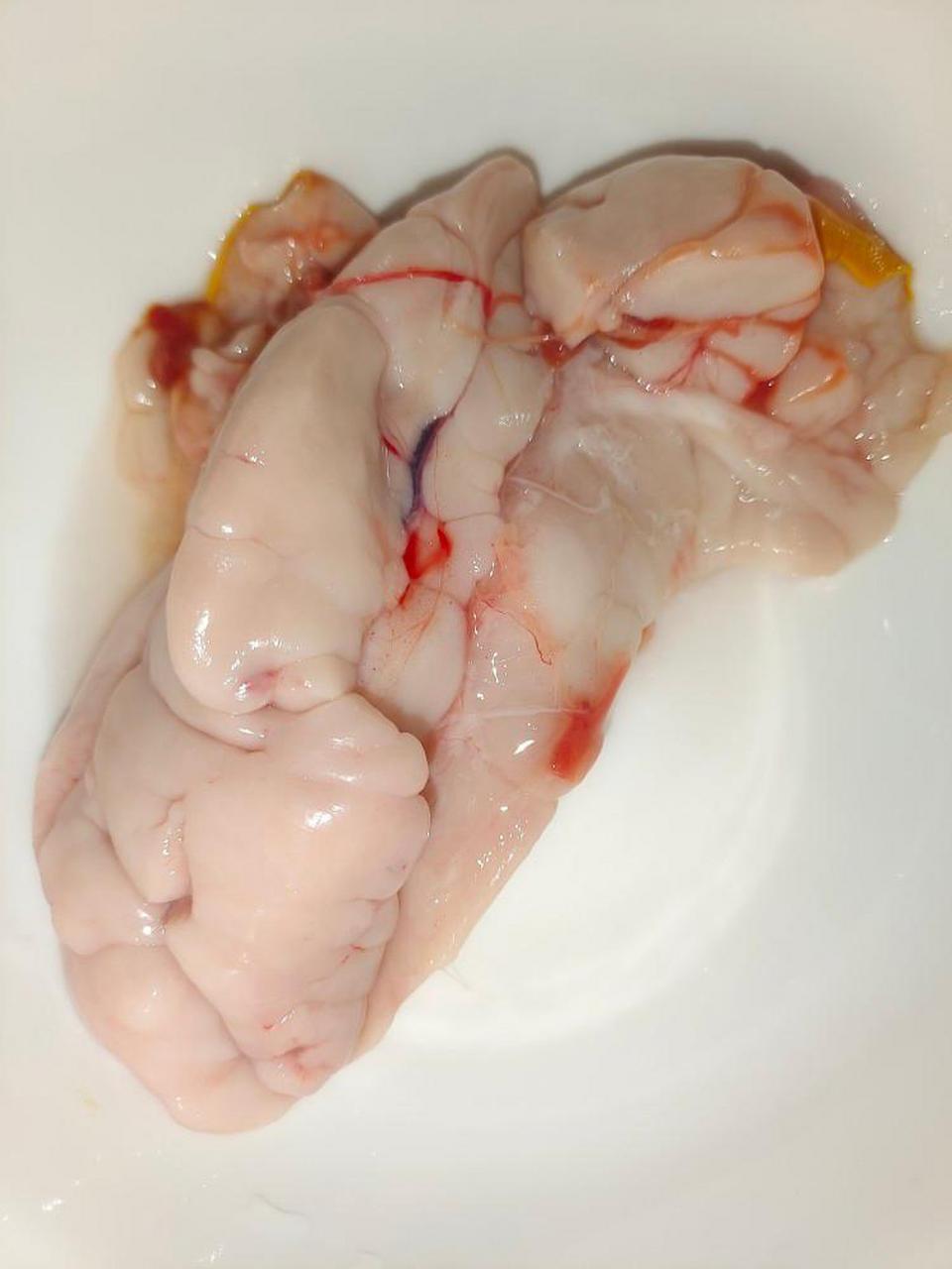 不经常做饭,鱼肚子里面是啥玩意啊?看着像鱼籽又不是的,能吃吗?