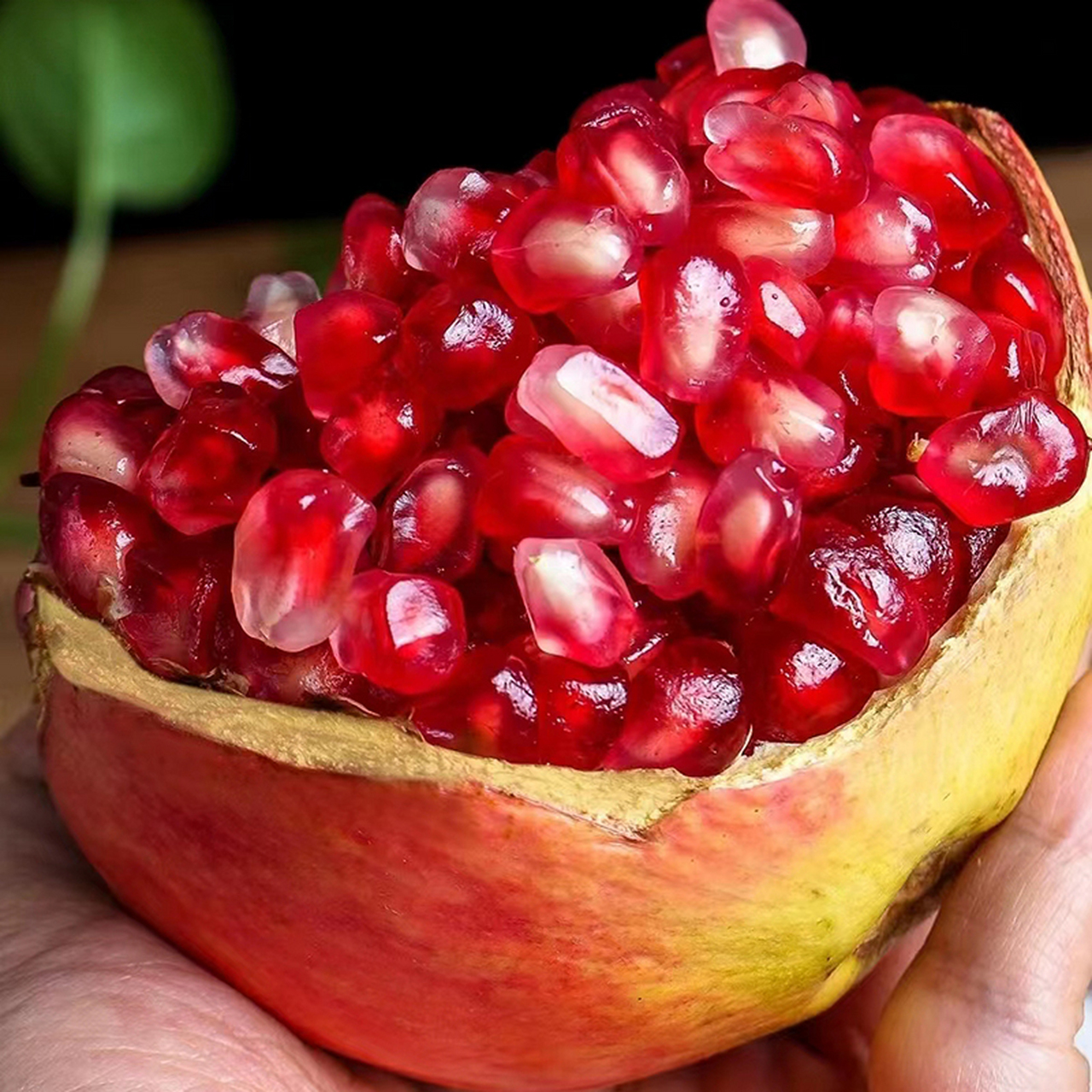 粒粒红宝石,闪耀着阳光的色彩,这就是突尼斯软籽石榴!