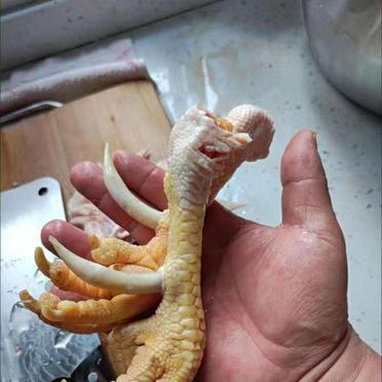 这只鸡是要变异了?什么情况