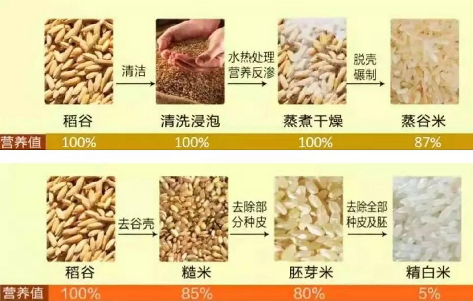 我们平常食用的精白米,面的加工,是对稻谷(米), 麦子(面)精加工,把
