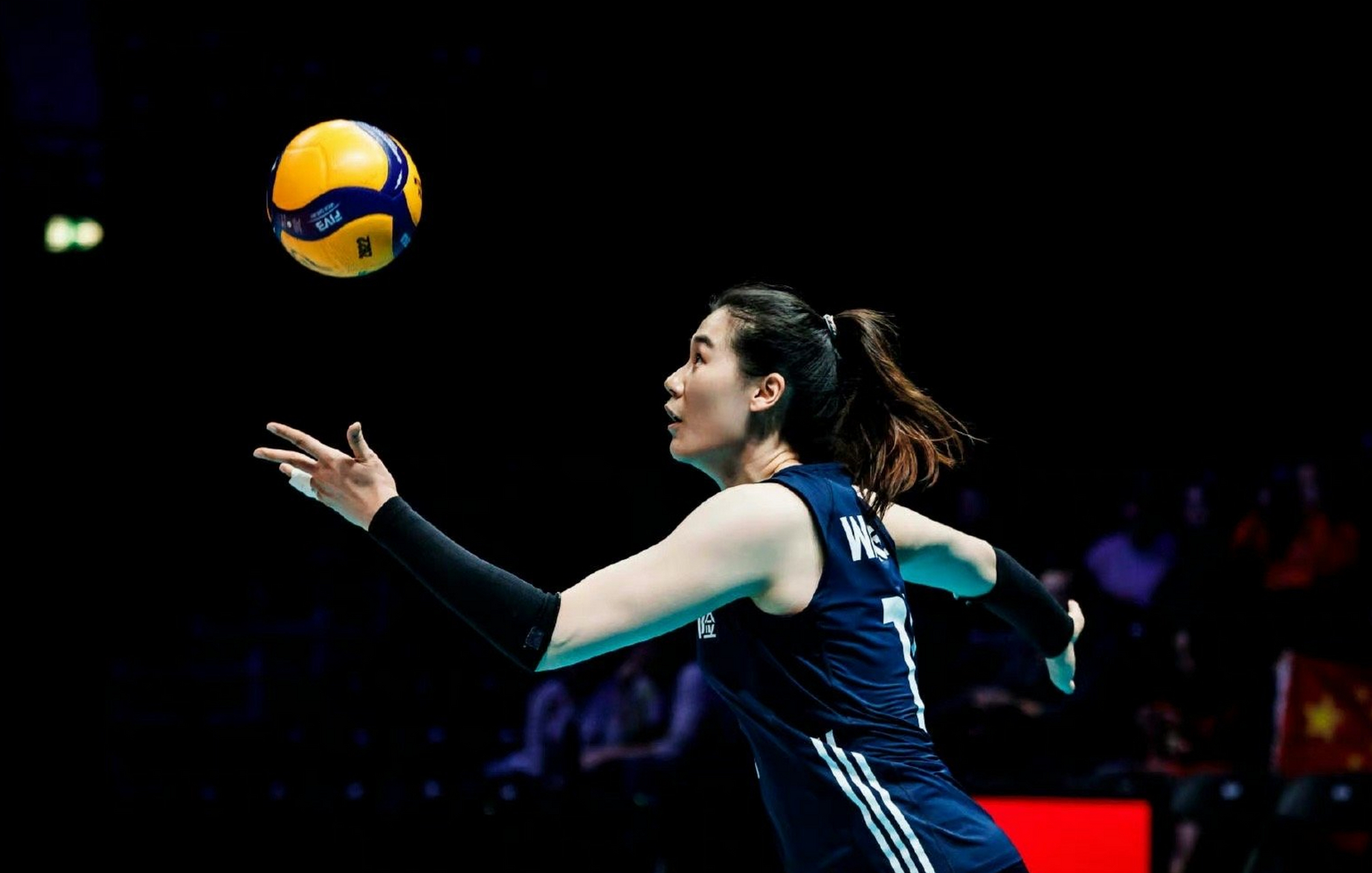 网站内,正在更新的作品《峥嵘》,背后作者竟然是女排国家队队员王云蕗