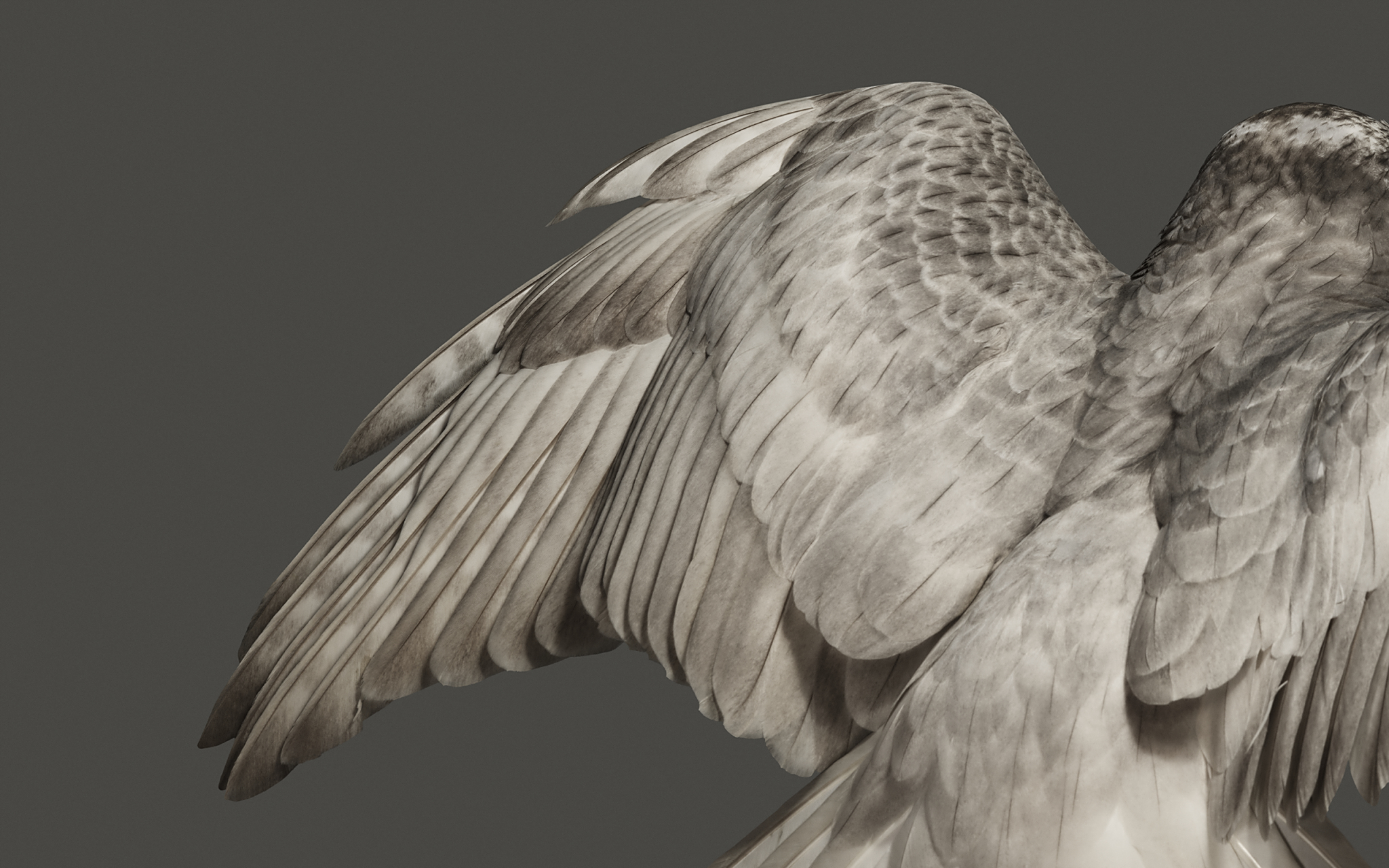 【每日壁纸】厂牌系列:谷歌pixel tablet.