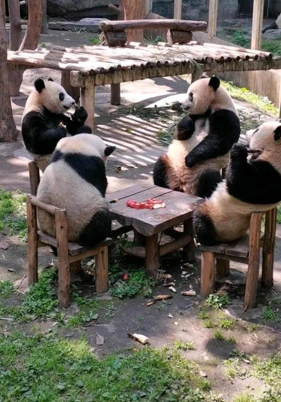 来打麻将呀