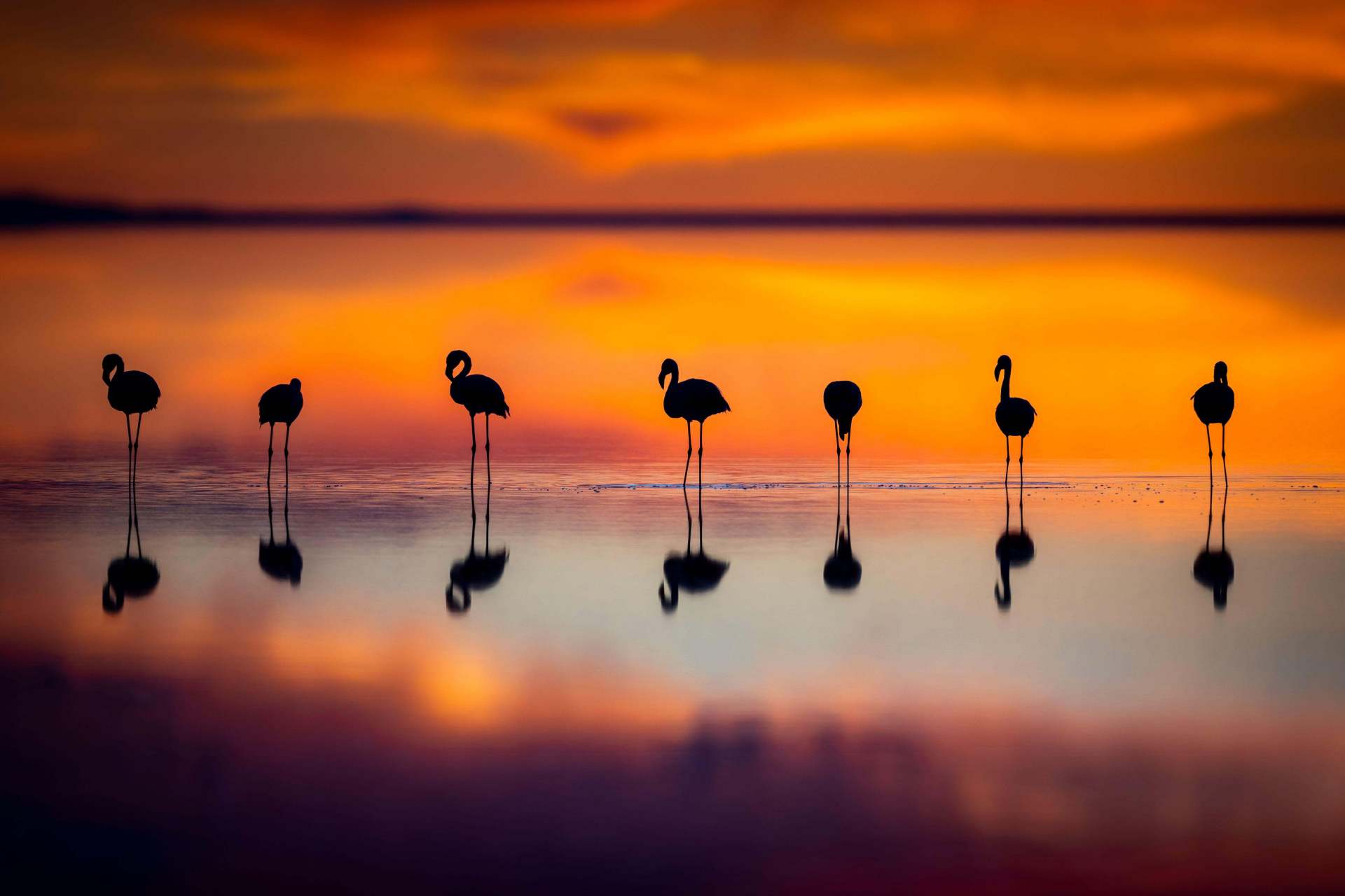 tnc每日一图# 镜面上的光影交织.