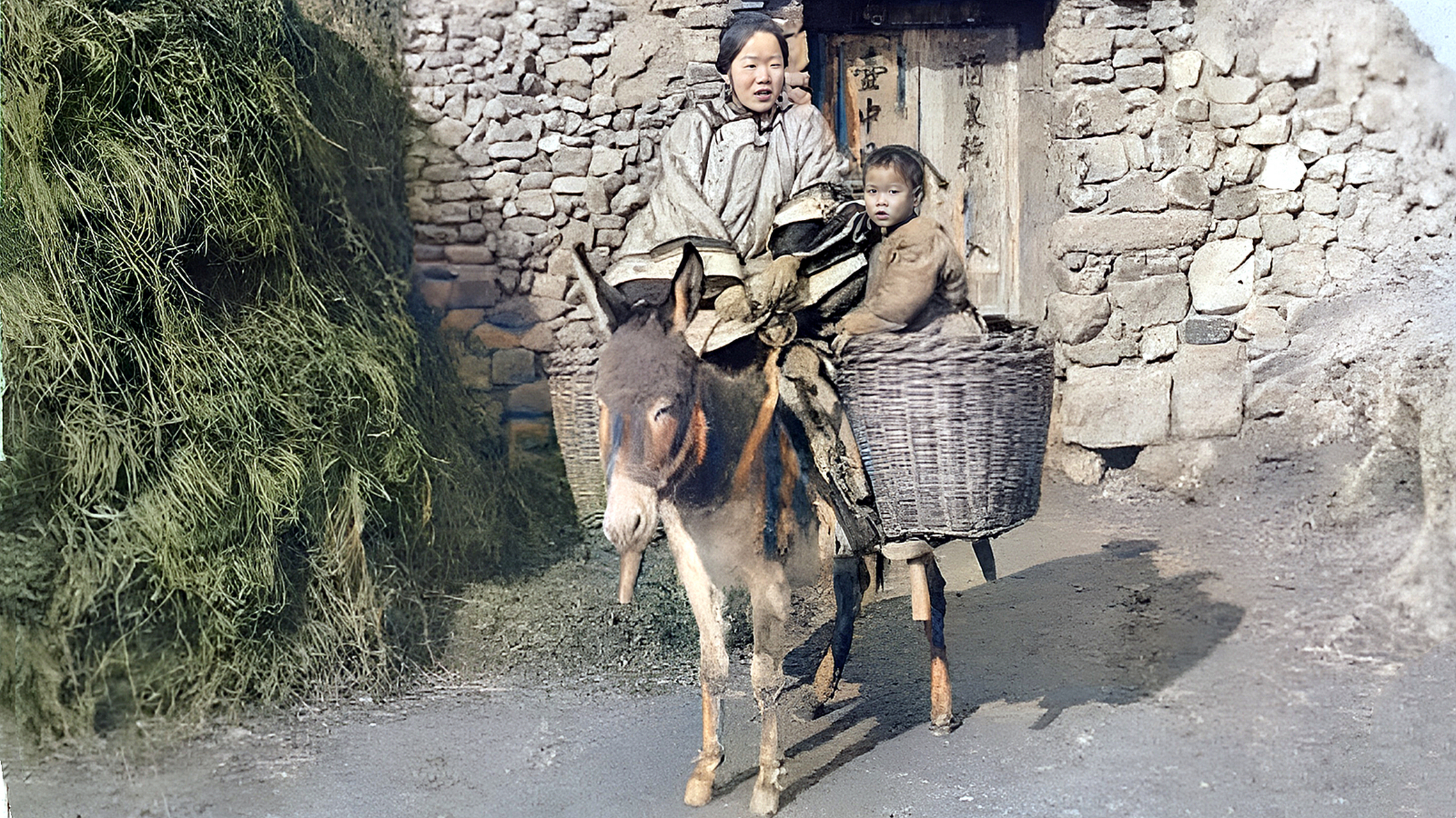 人骑毛驴图片大全图片