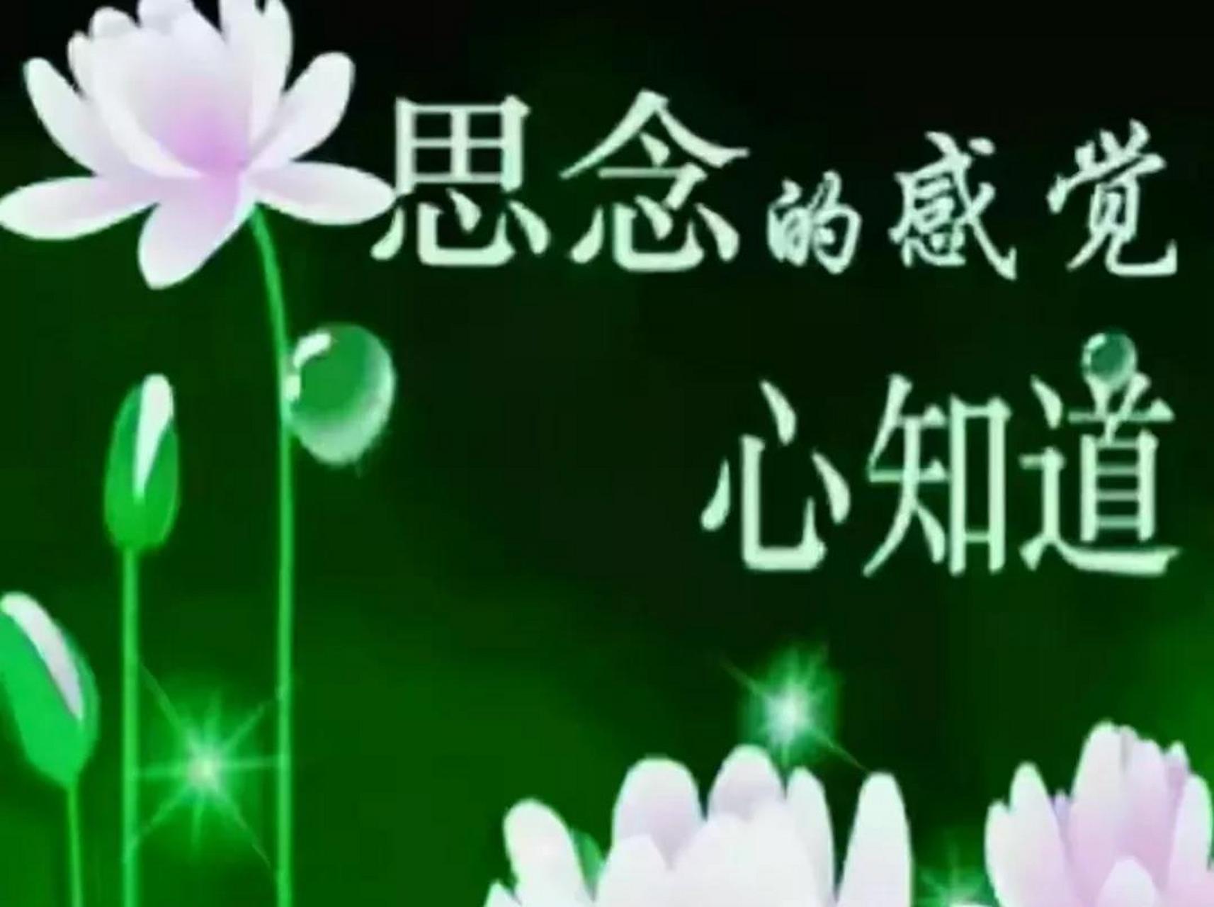 哀思 阴阳相隔两重天 偶尔梦中见慈颜 可惜吋光不现仙 墓前祭奠忆亲人