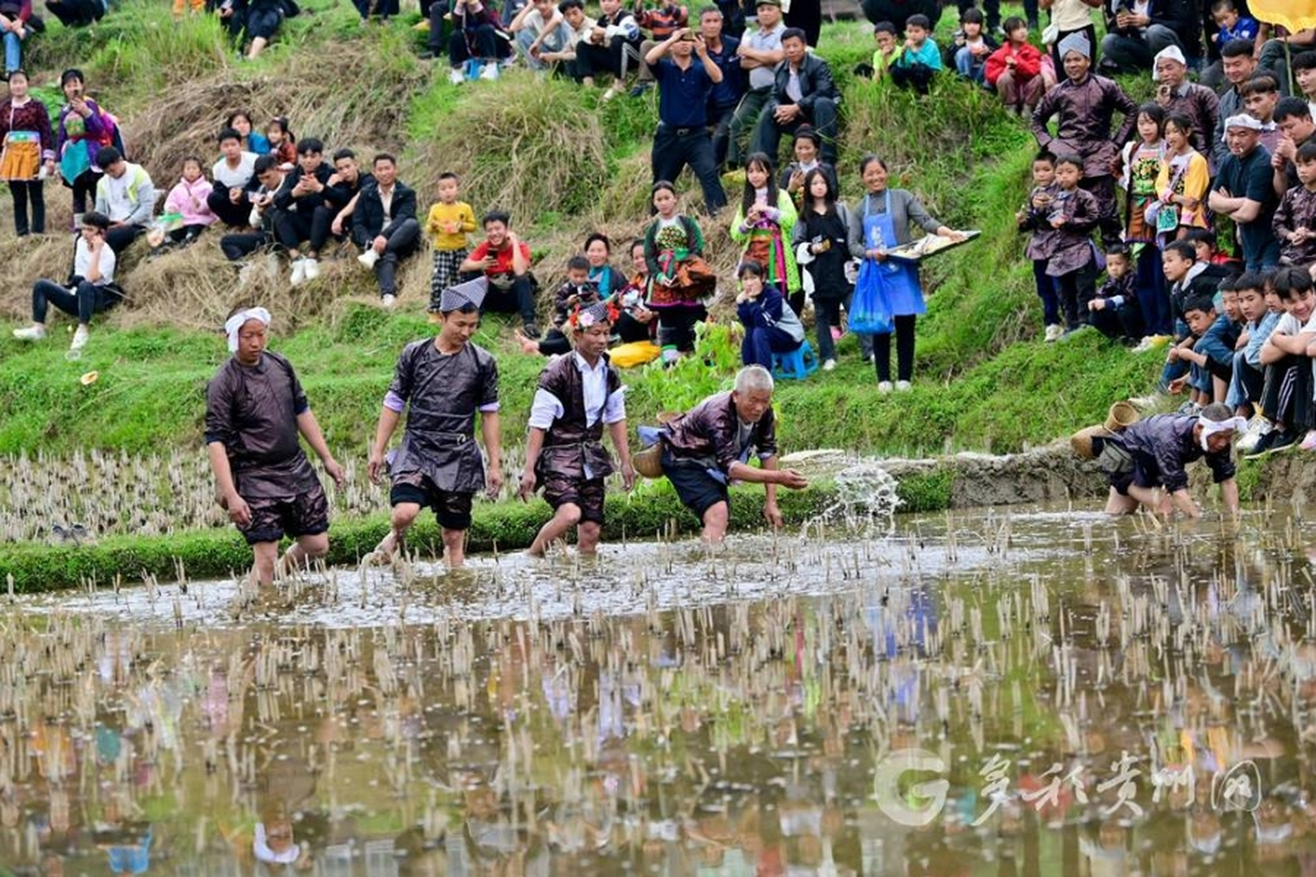 近日,贵州省黔东南州从江县丙妹镇大塘村迎来一年一度的"嘎牙锅",苗族