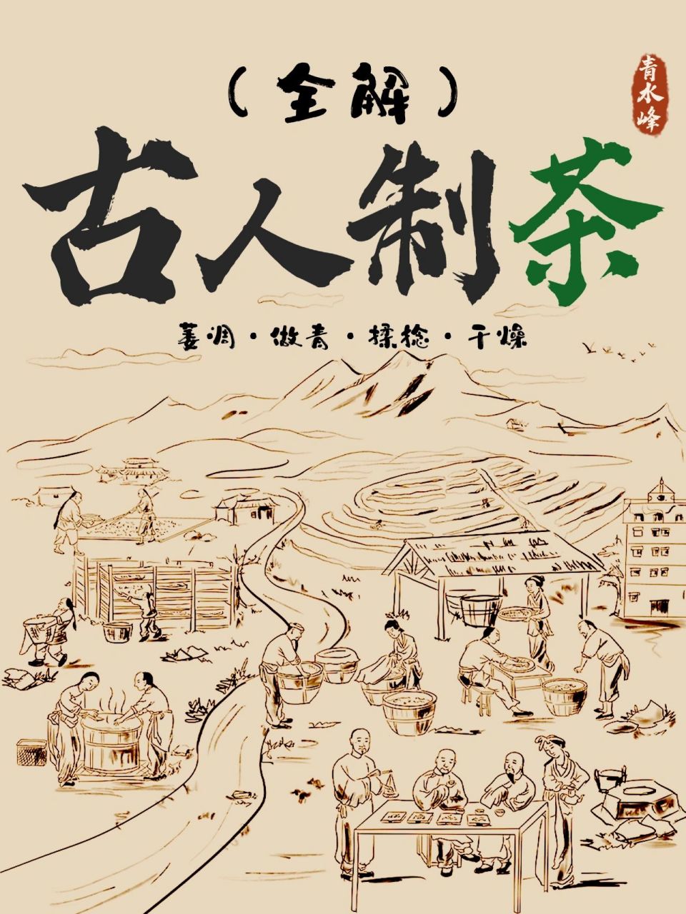 茶文化 | 走进古时看古人如何制茶?