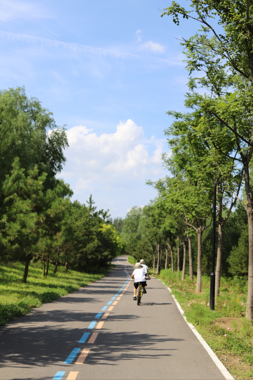 北京亲子骑行公园图片