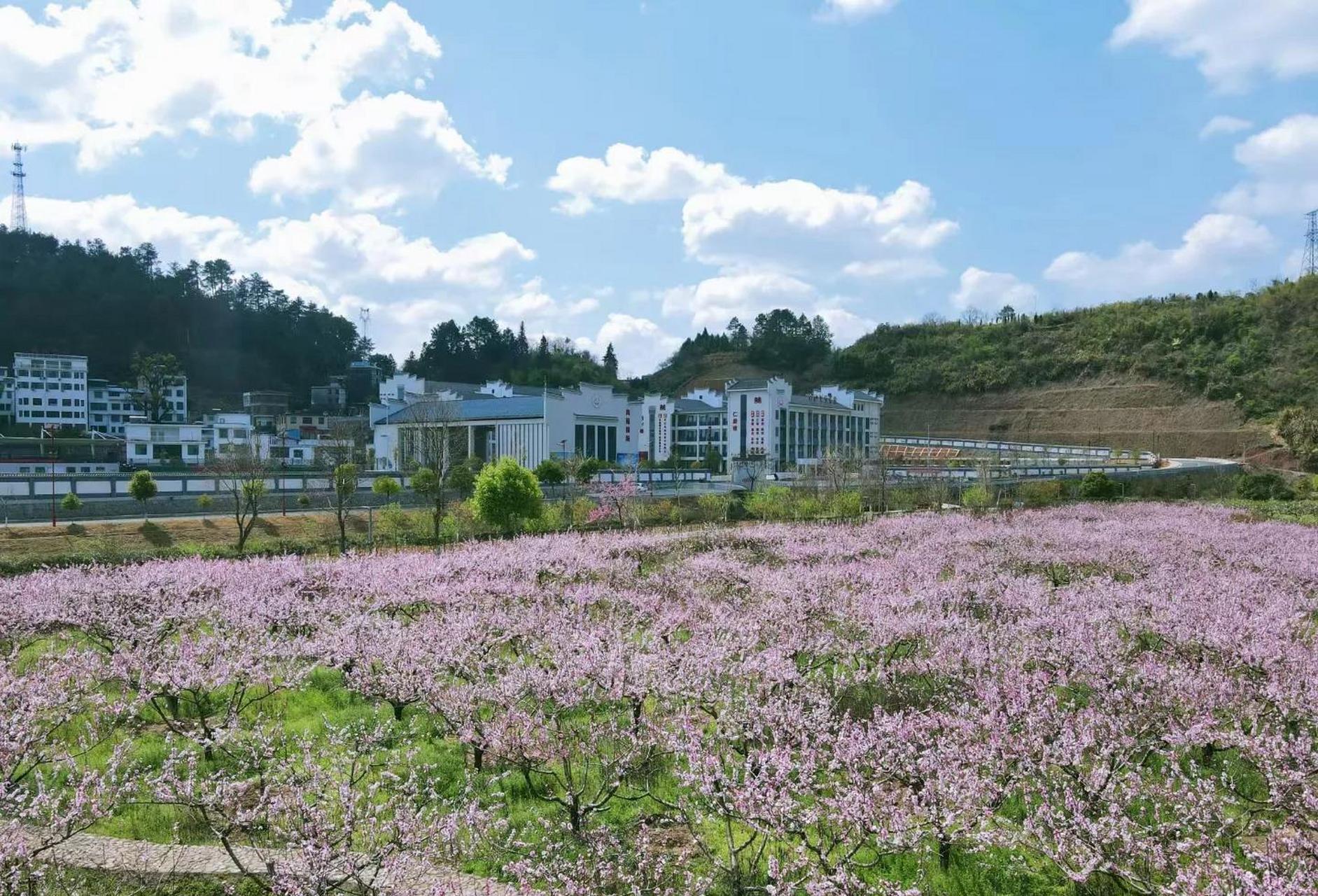 汝城沙洲村旅游图片