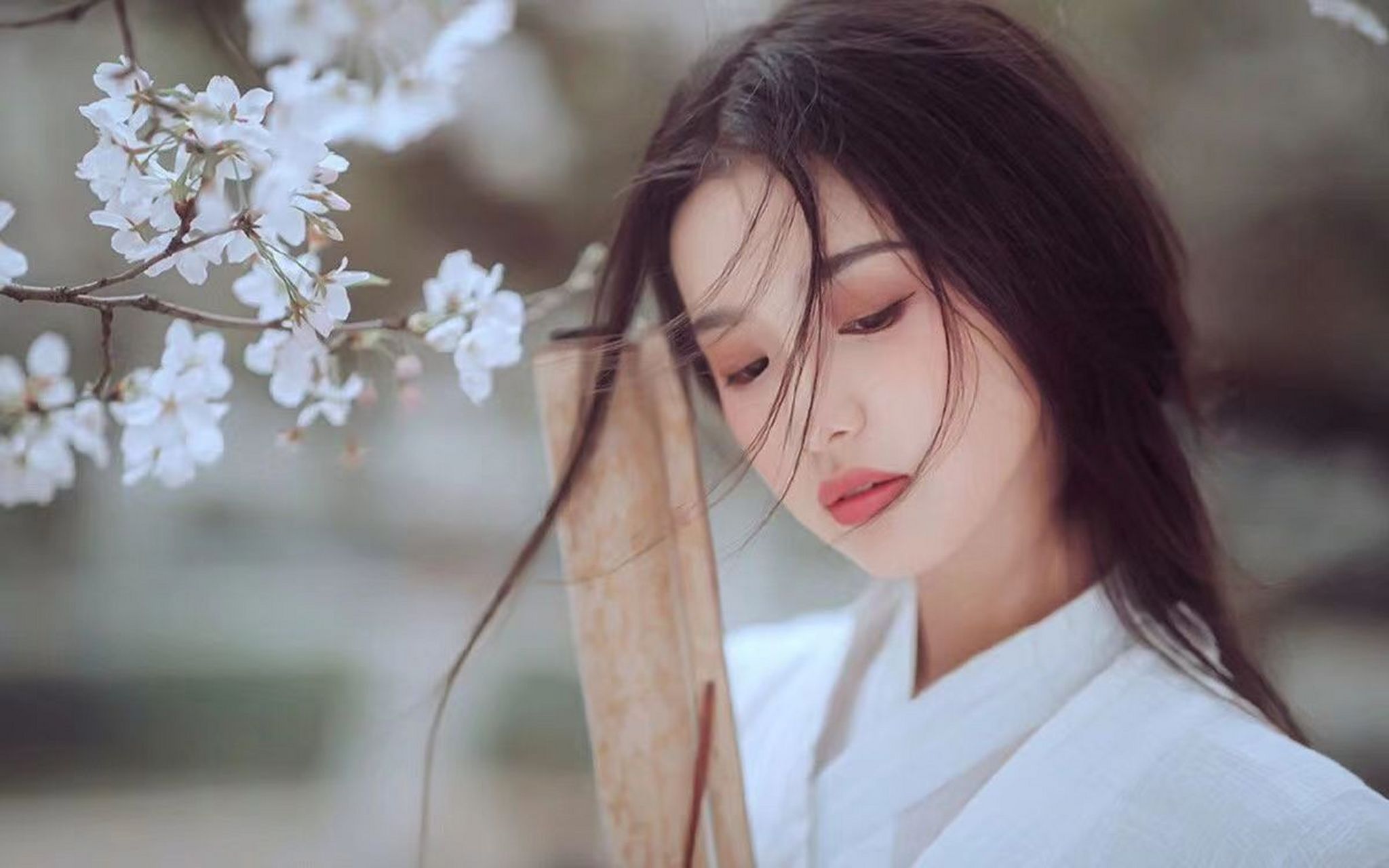 1,《讨逆》  作者:迪巴拉爵士 2,《铁血残明》   作者: 柯山 3