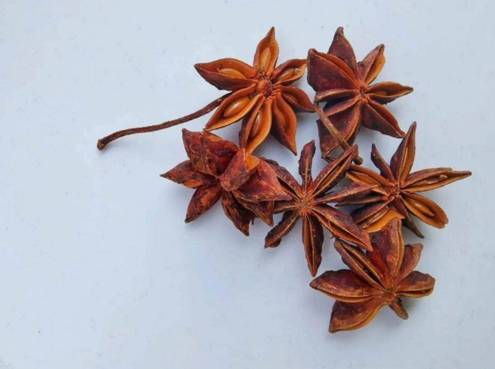 八角茴香即大茴香,也叫大料,常用于肉类的烹调.
