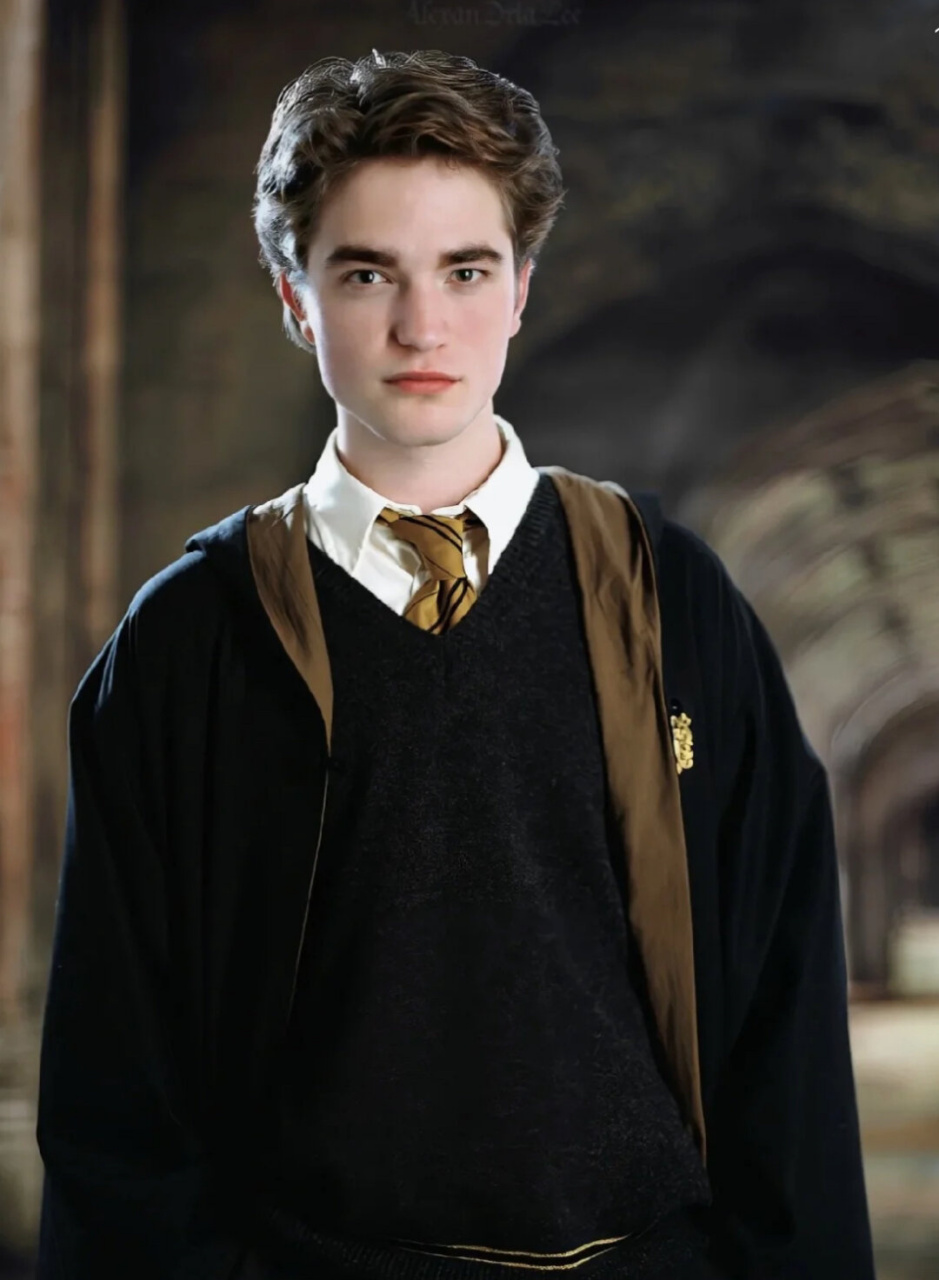 本期我为大家整理了《哈利波特》系列中那些让人印象深刻,美到窒息的