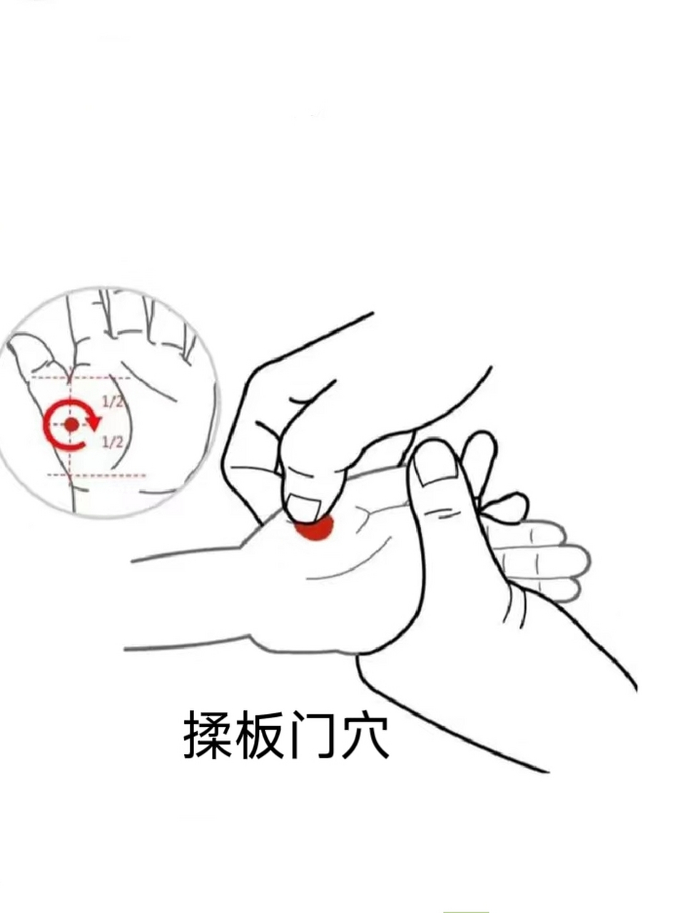 脾胃壮如牛,远离矮个  【揉板门穴】 位置:位于手掌大鱼际中部 次数