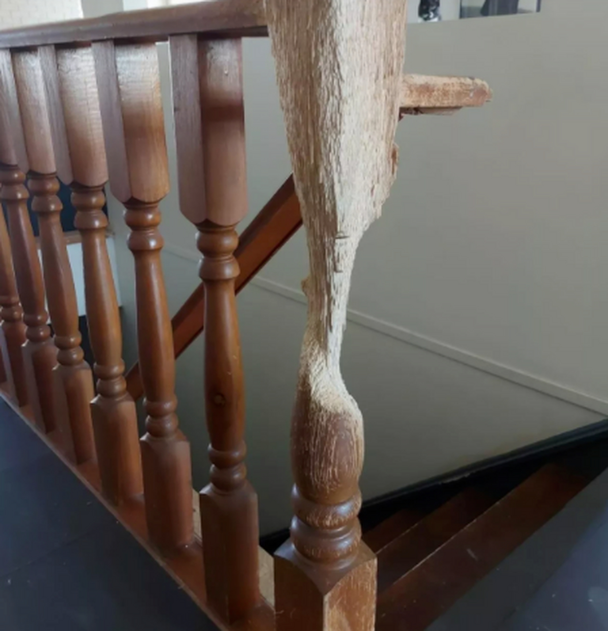 只要功夫深,耗时多年的作品!#搞笑图片