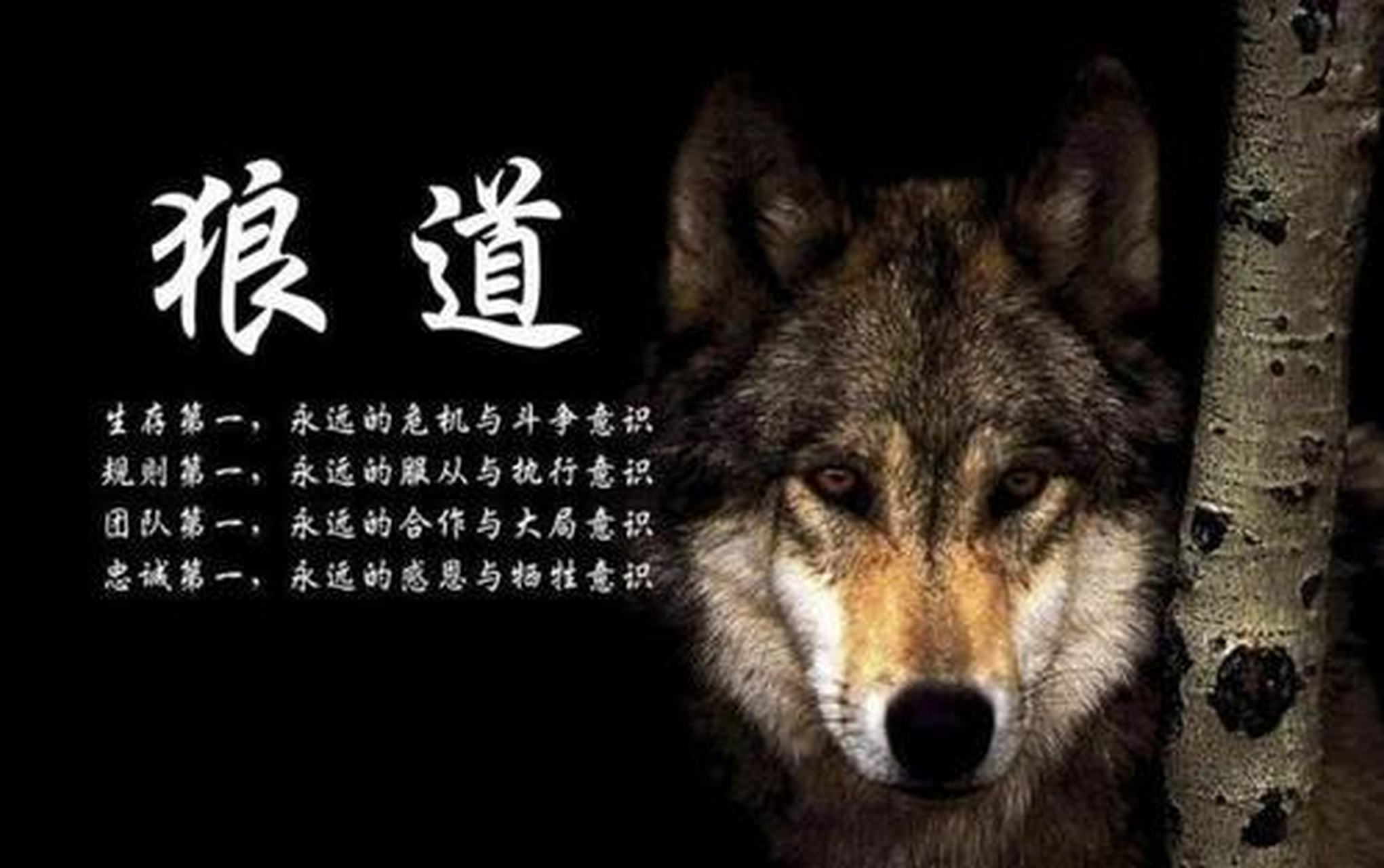 没有清晰的目标,就谈不上狼性.