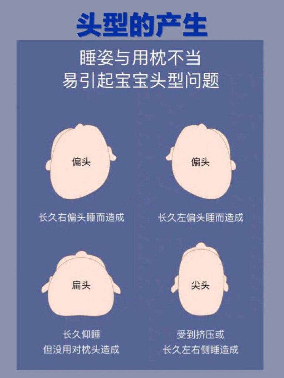 是个舟状头,脑袋长长的,后来一个多月后被我睡成菱形头,两边有角,现在