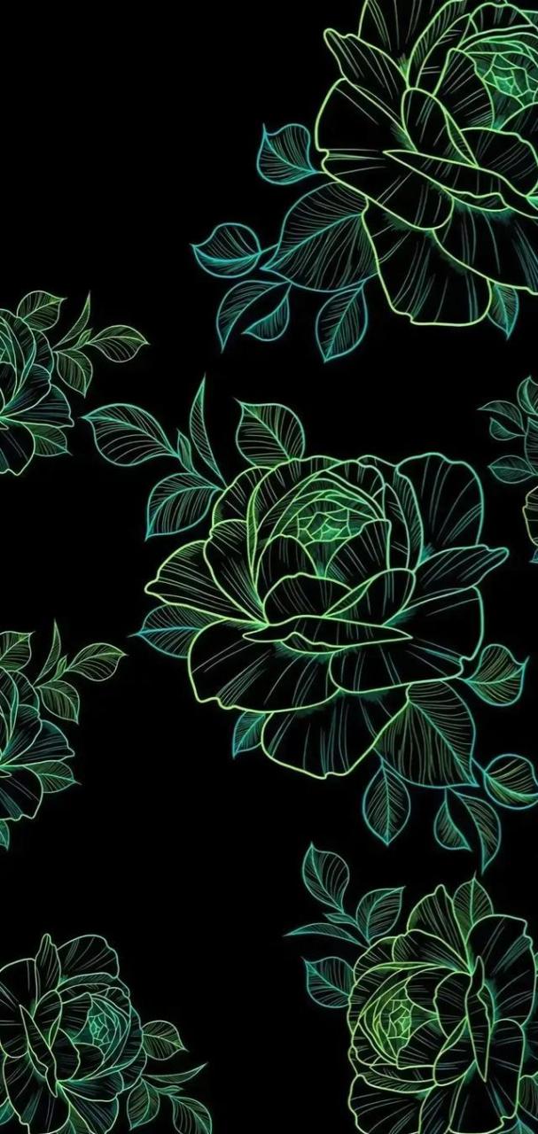 "线条花卉"高清个性壁纸