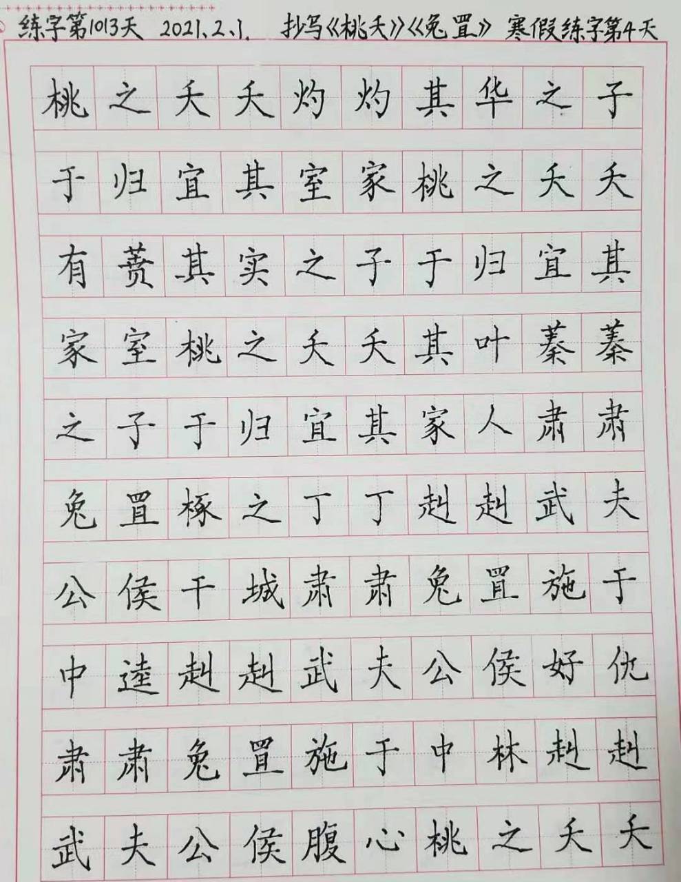[鲜花]寒假练字第四天[鲜花]  [开心]抄写《桃夭》《兔罝》 桃之夭夭