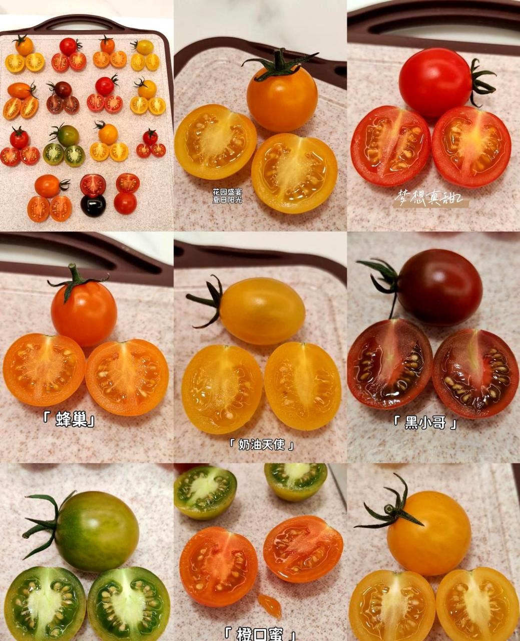 小番茄原来有这么多品种,它们的味道是否都相同呢?