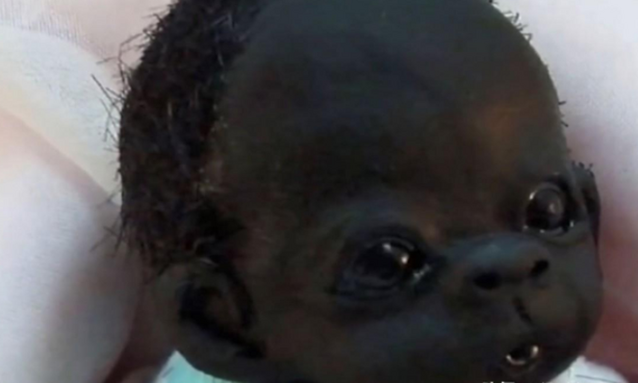 2016年在南非诞生了一个世界上最黑的小孩,这个小婴儿全身漆黑如墨