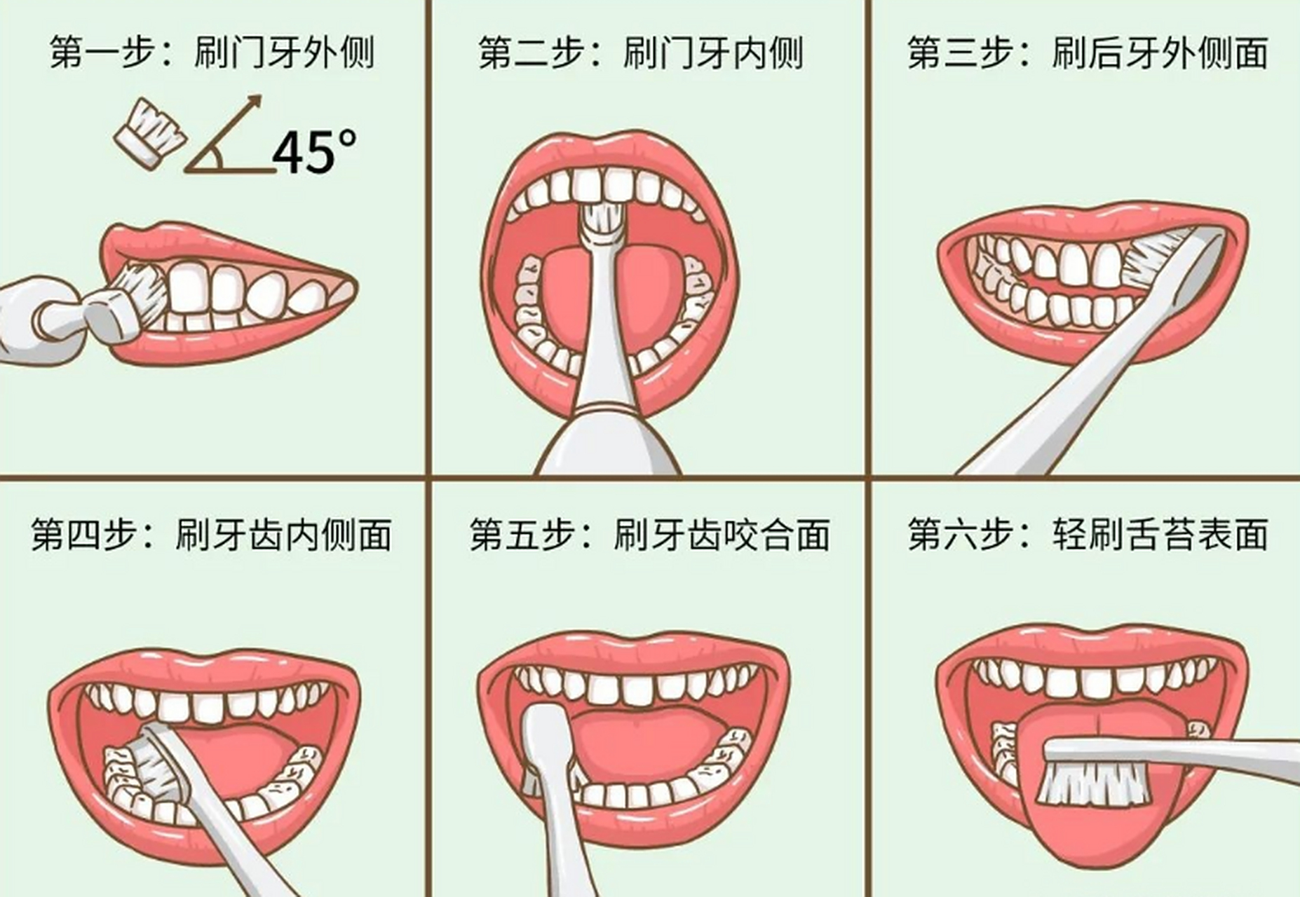 应将刷毛斜45度放在牙齿和牙龈交界处水平颤动5次左右,再转动