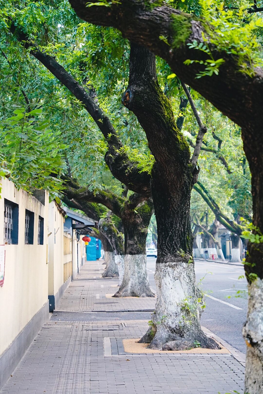 南京颐和路city walk,后劲十足  南京的颐和路,一条充满历史韵味的