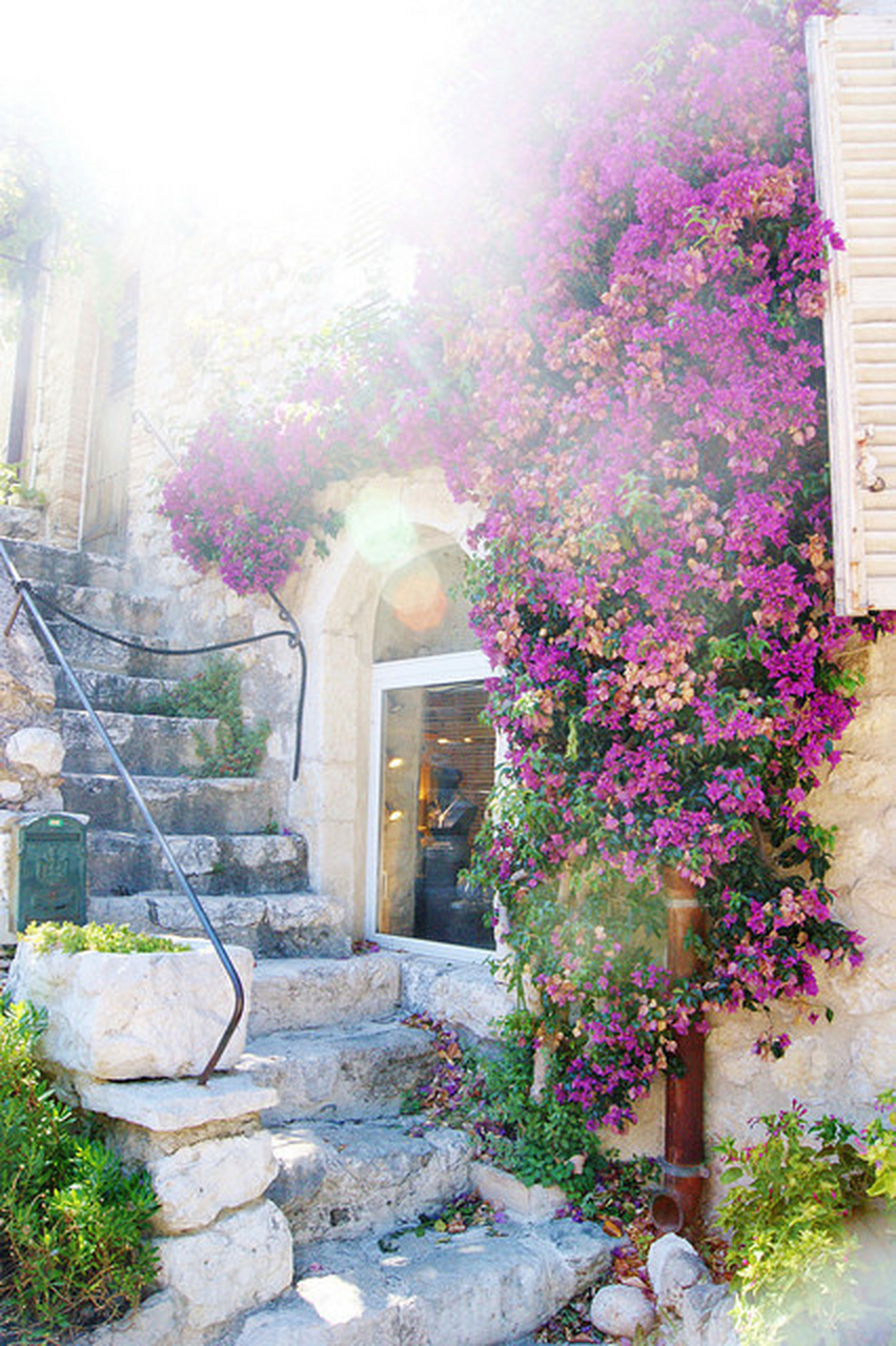 白驼山壮骨粉,挨一刀涂一包,包你想挨第二刀