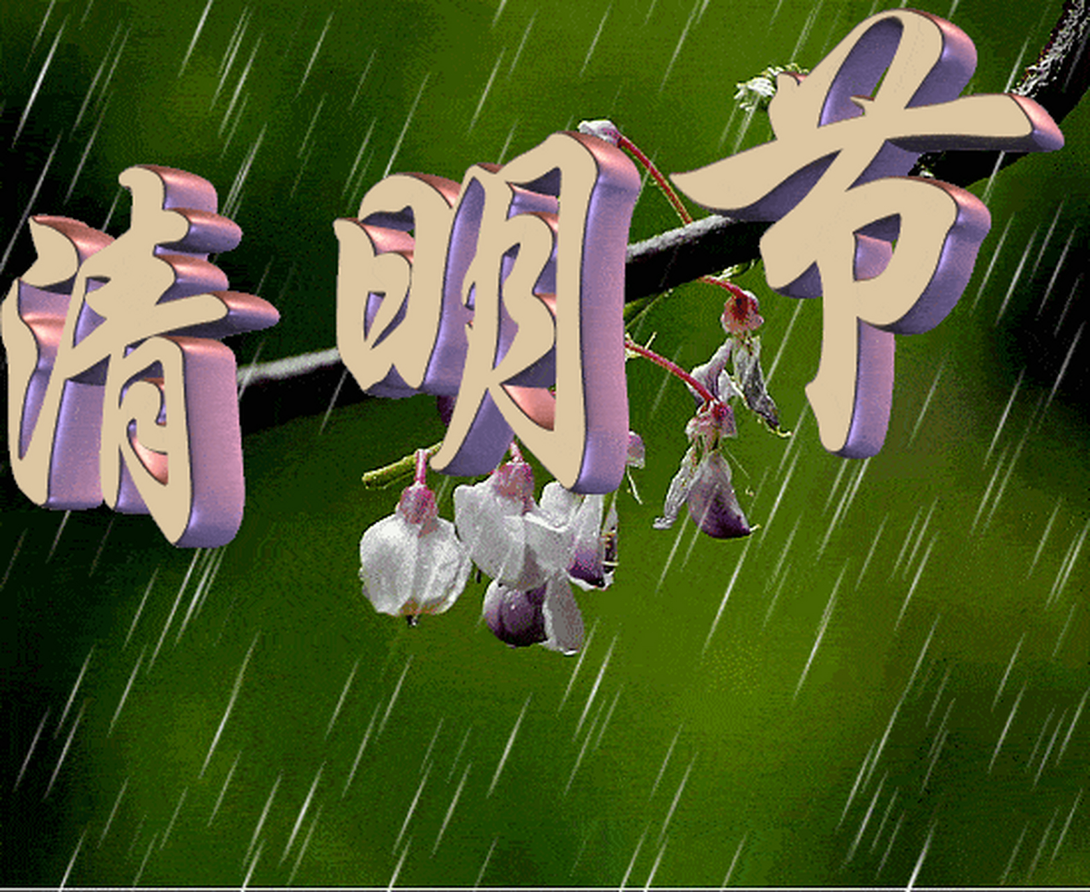 清明节寄哀思# 今日清明节,春风化雨寄哀思.
