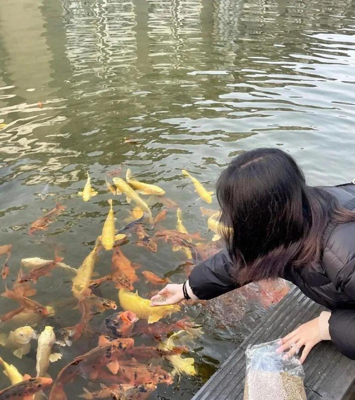 有你这样喂鱼的吗 #搞笑趣味图