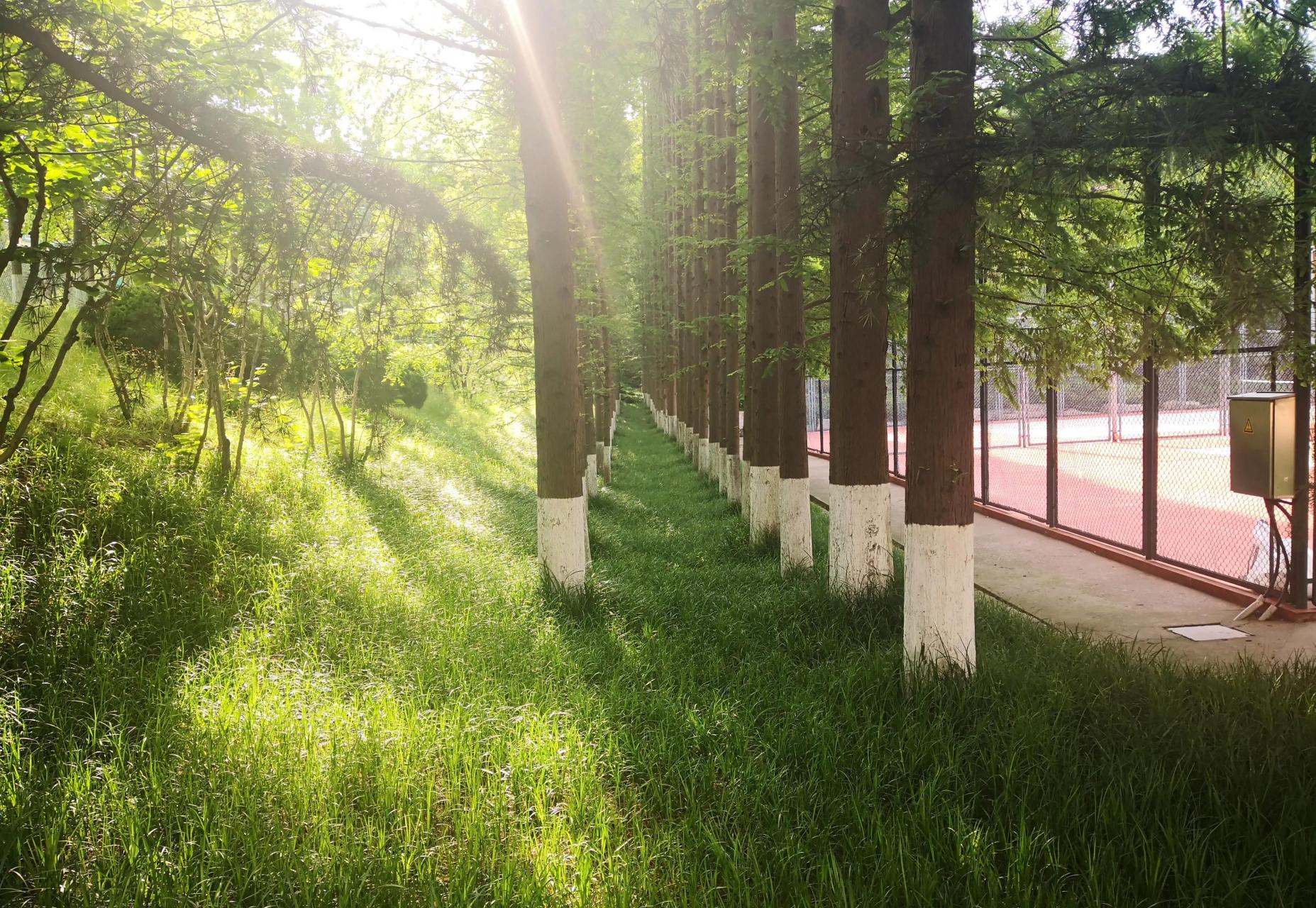 百家号星火计划# #涨粉黑马训练营# 参加了涨粉黑马训练营的课程