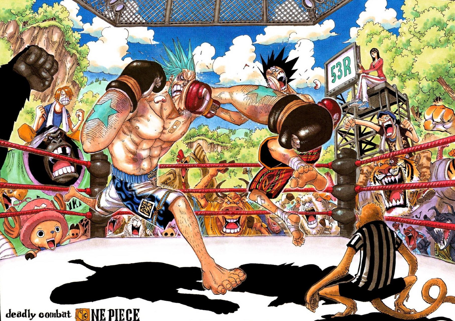 海贼王扉页分享 #海贼王