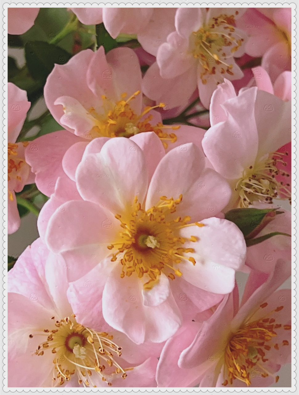 好喜欢好喜欢这种感觉,就像遇见了生活中的