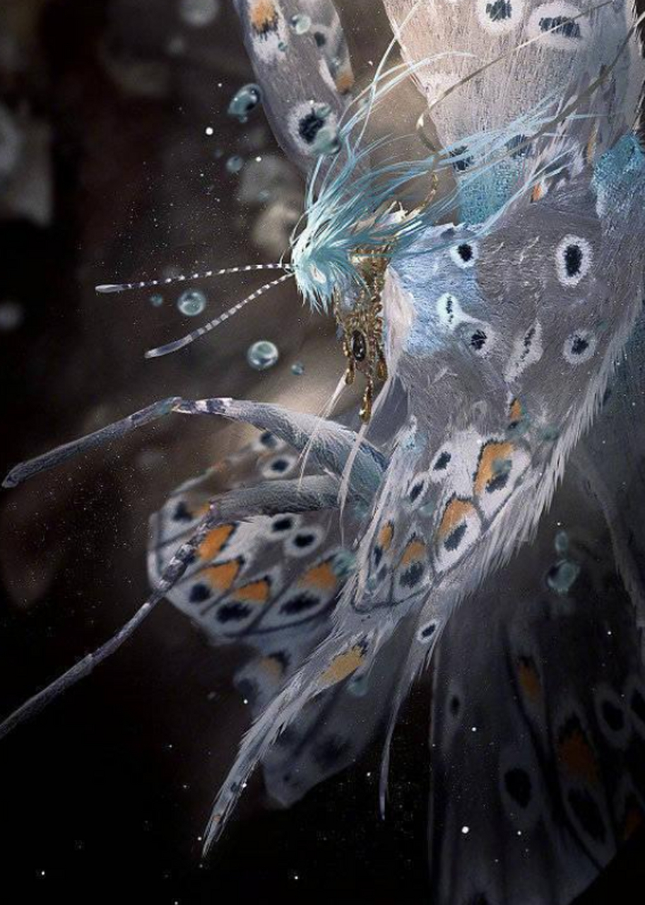 大扑棱蛾子拟人插画