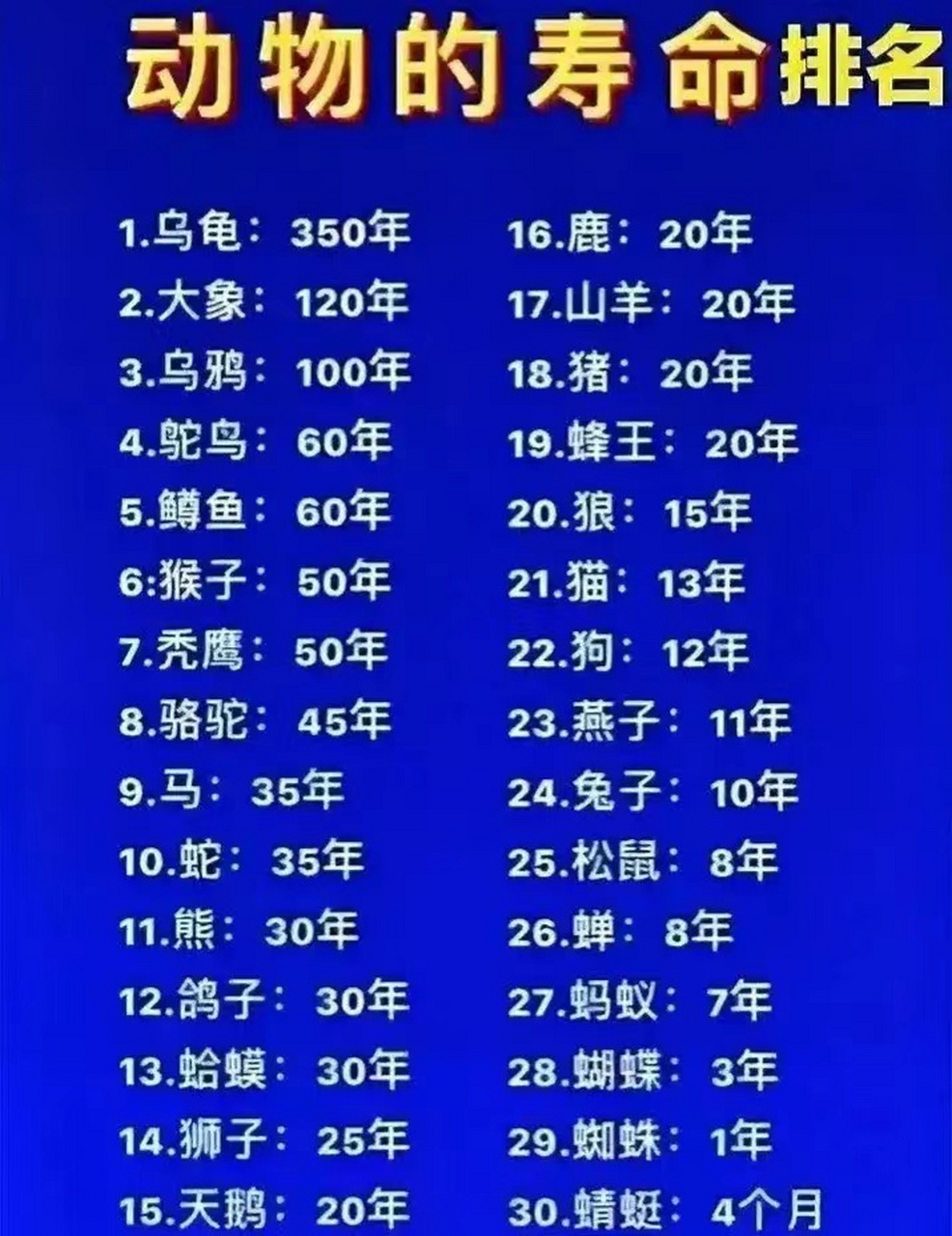 动物寿命排名表大全