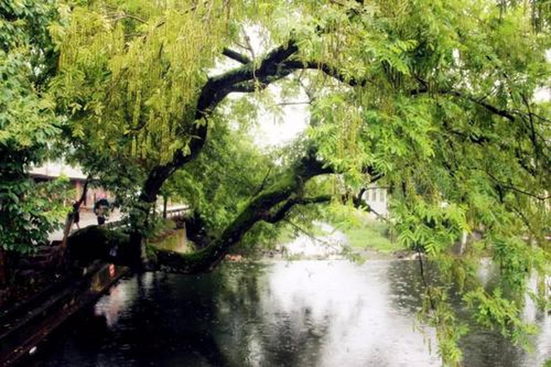 醉美宁波鄞光溢彩#宁波余姚市四明山镇棠溪村,地处余姚和奉化,嶂葺