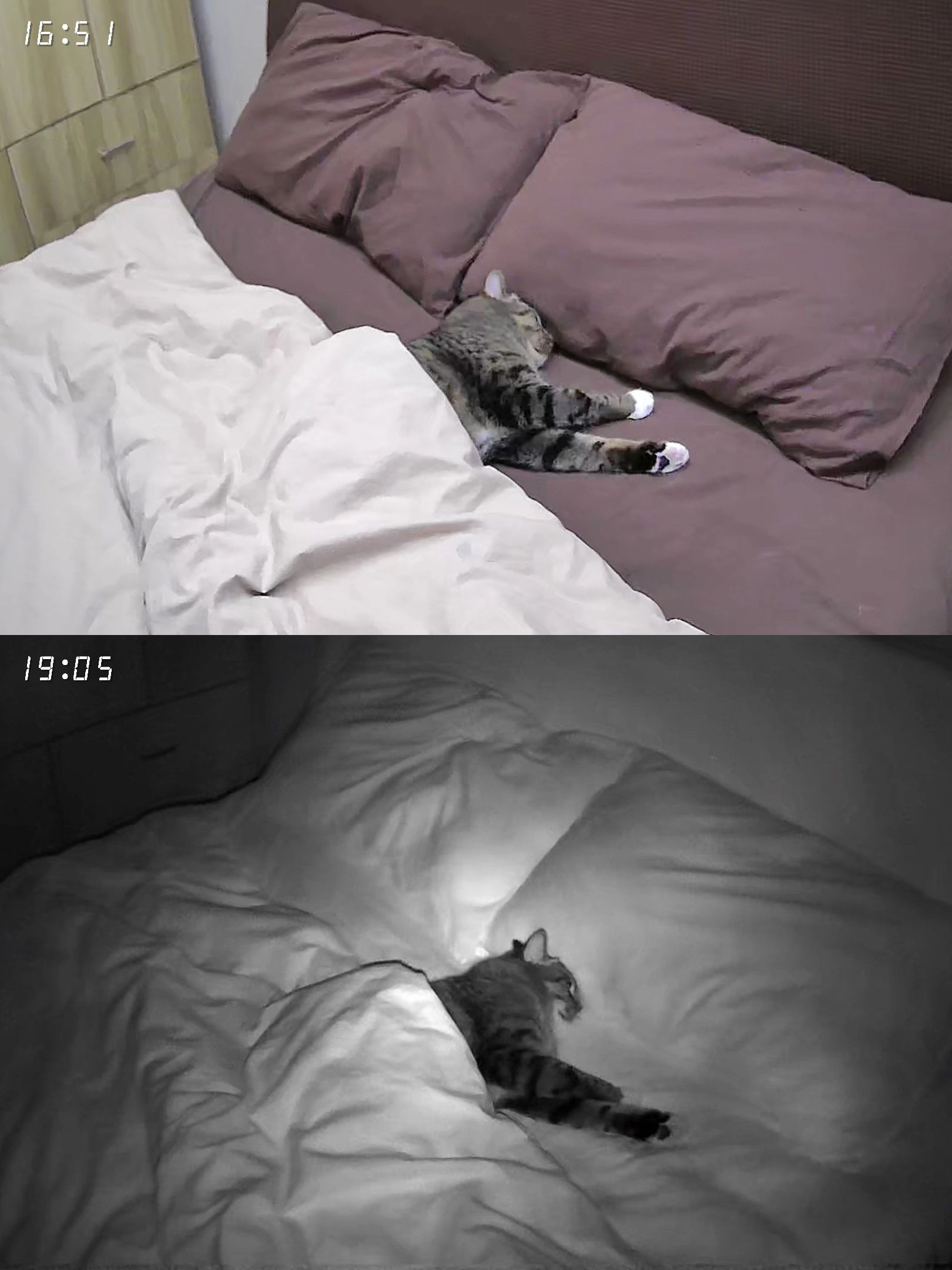 打开监控真的崩溃了