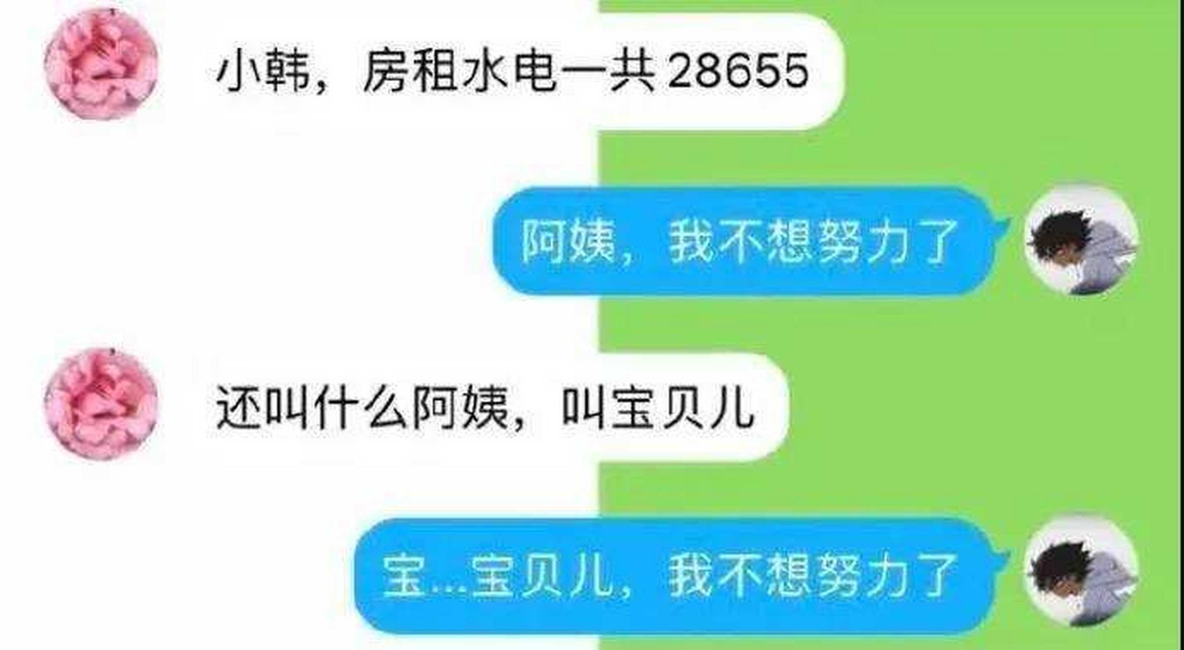 阿姨,我不想努力了
